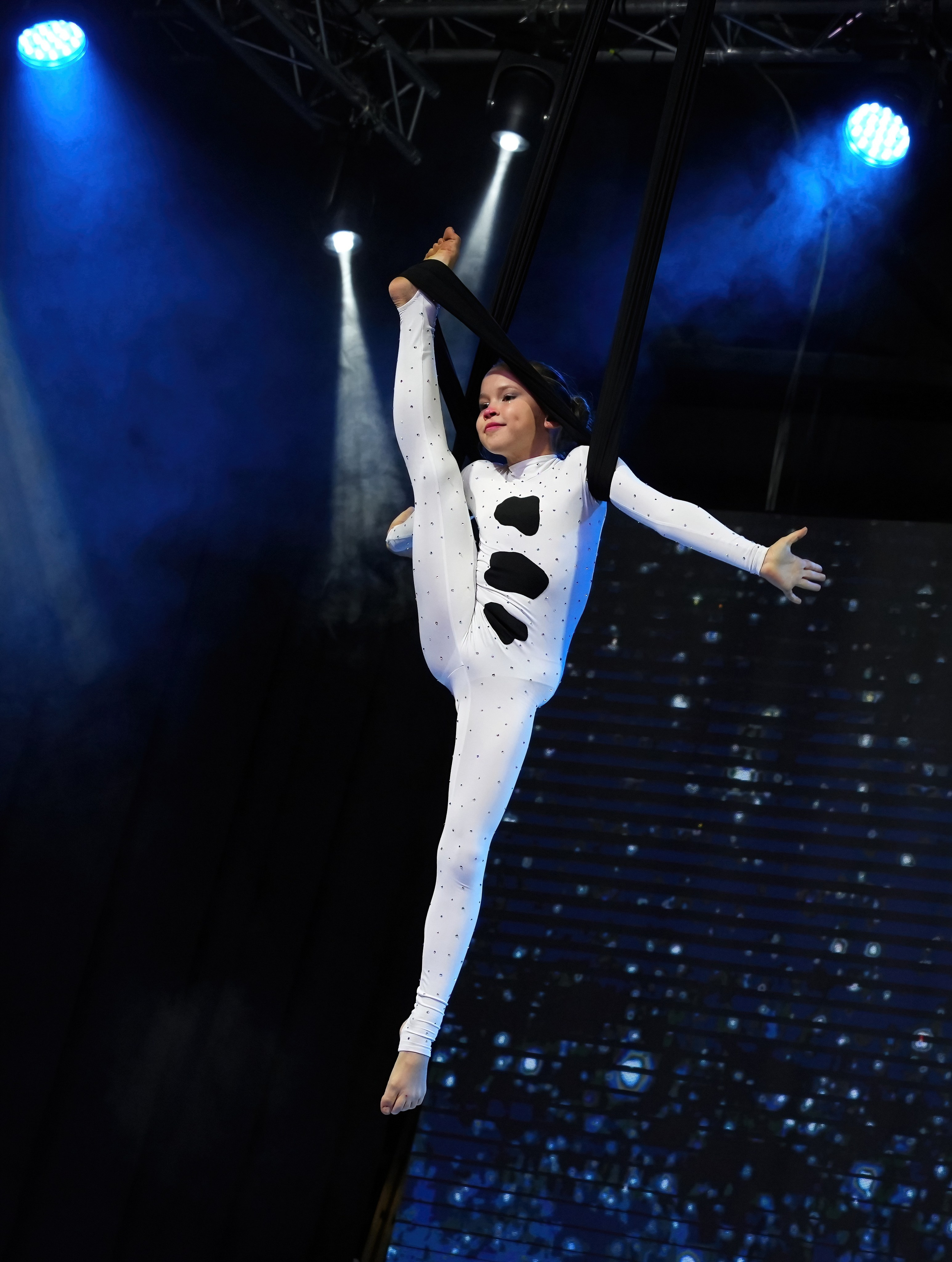 Fenix Fest Фестиваль по воздушной гимнастике. Вадим Шейдин