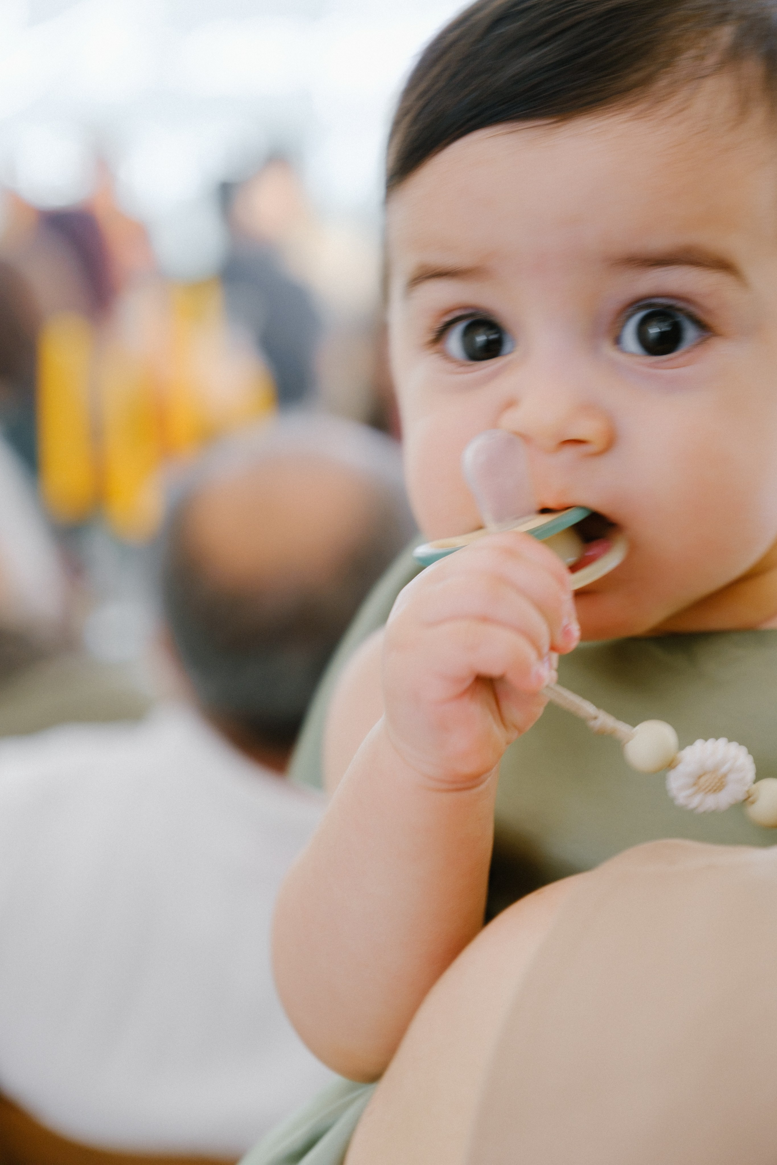Сирак / Вероника. Свадебный Видеограф Фотограф в Сочи