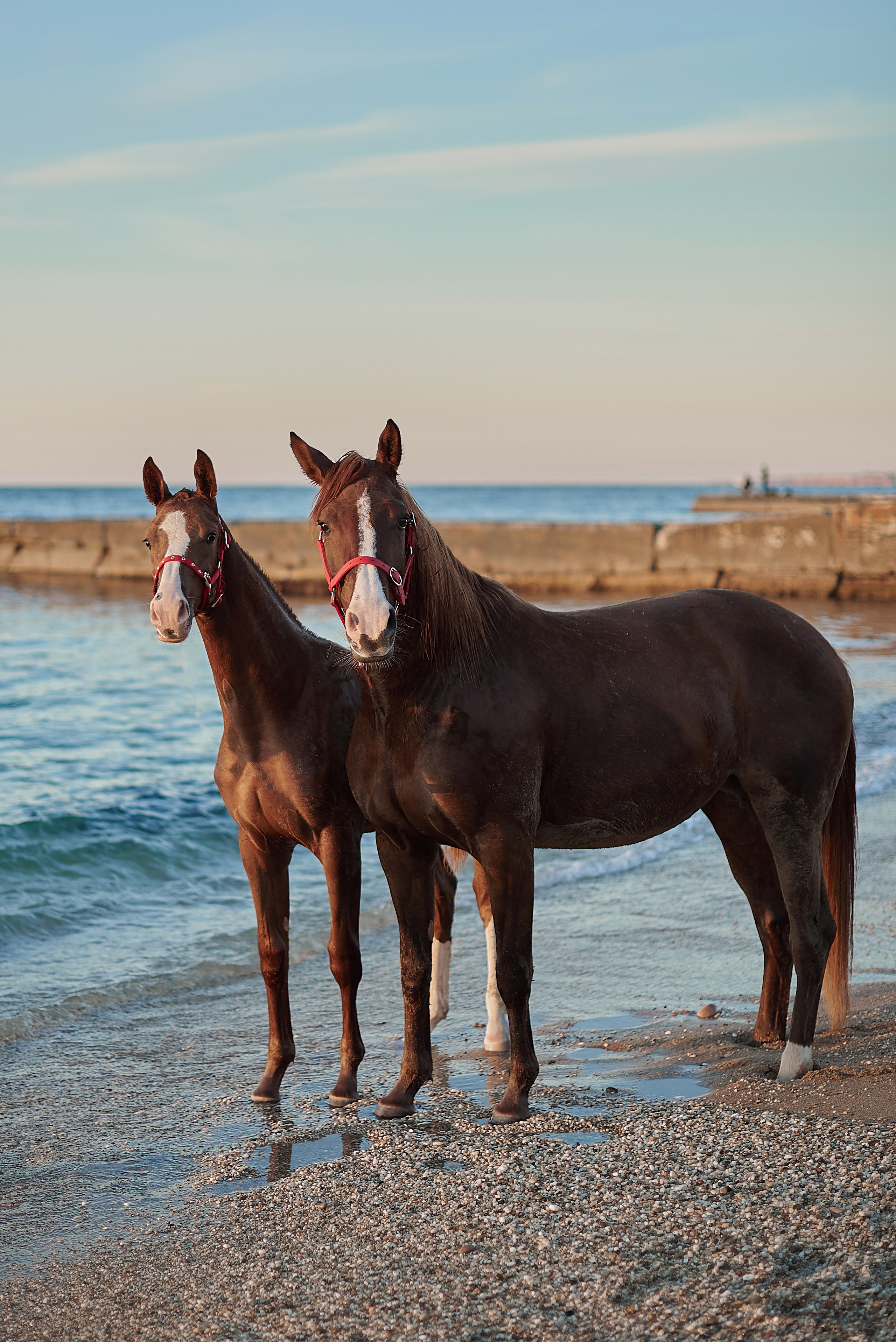 Галактика и Кассиопея. Фотограф в Севастополе