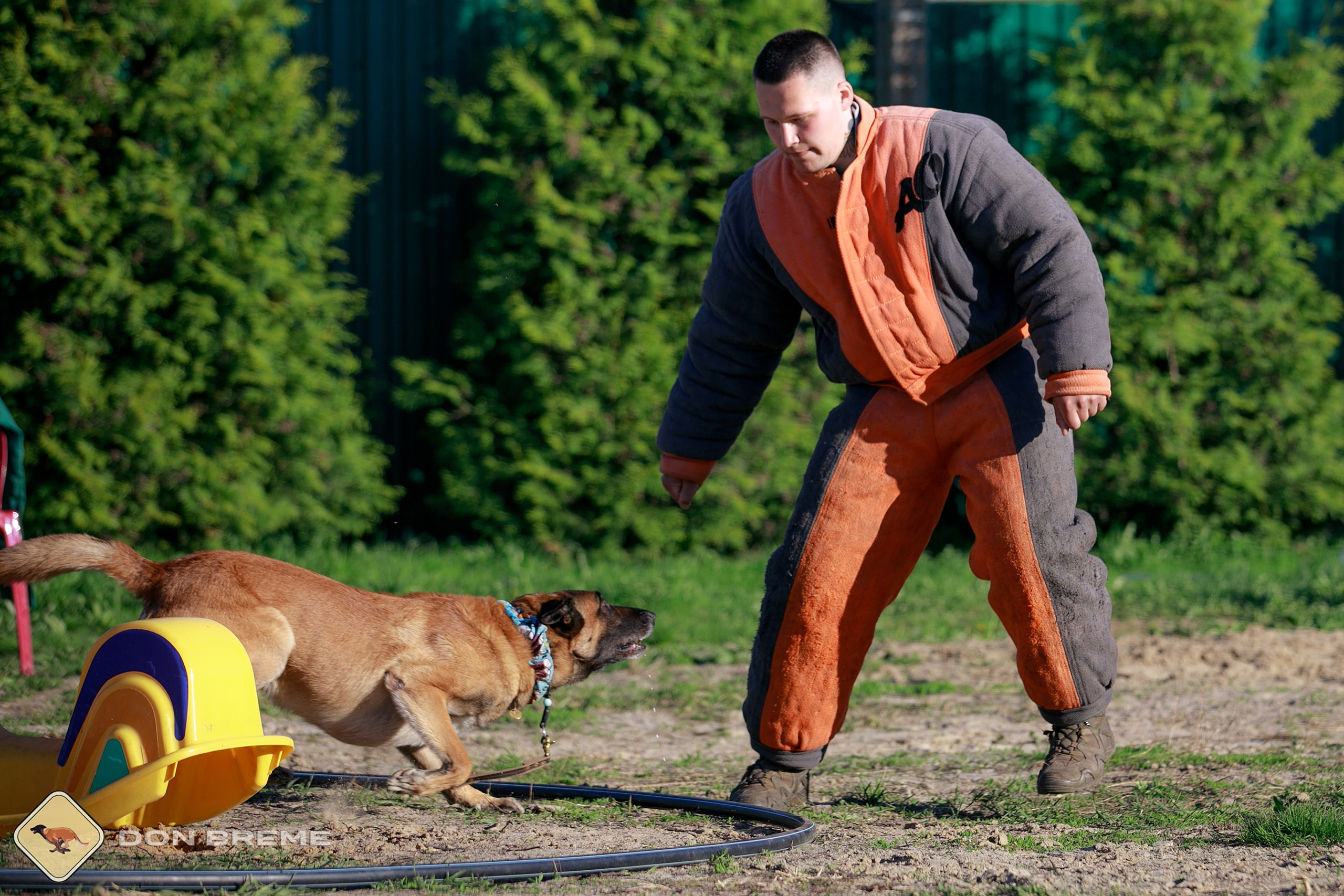 Семинар для фигурантов, день 3. Фотограф-анималист Mary Mart — Москва, Питер