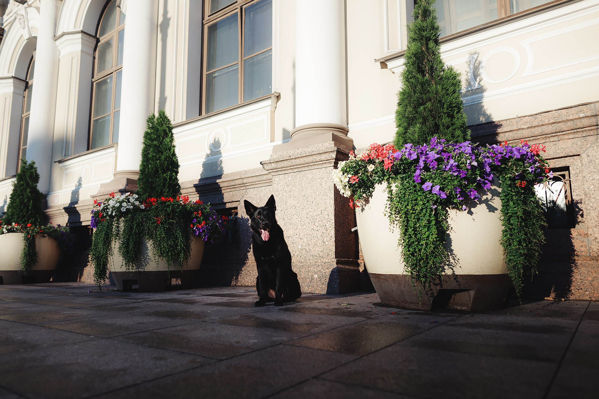 Алена, Кай и Мара. Фотограф-анималист Mary Mart — Москва, Питер