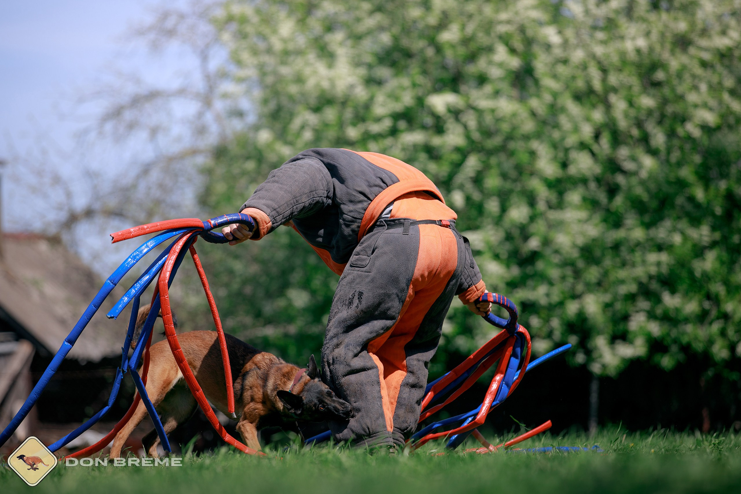 Семинар для фигурантов, день 4. Фотограф-анималист Mary Mart — Москва, Питер