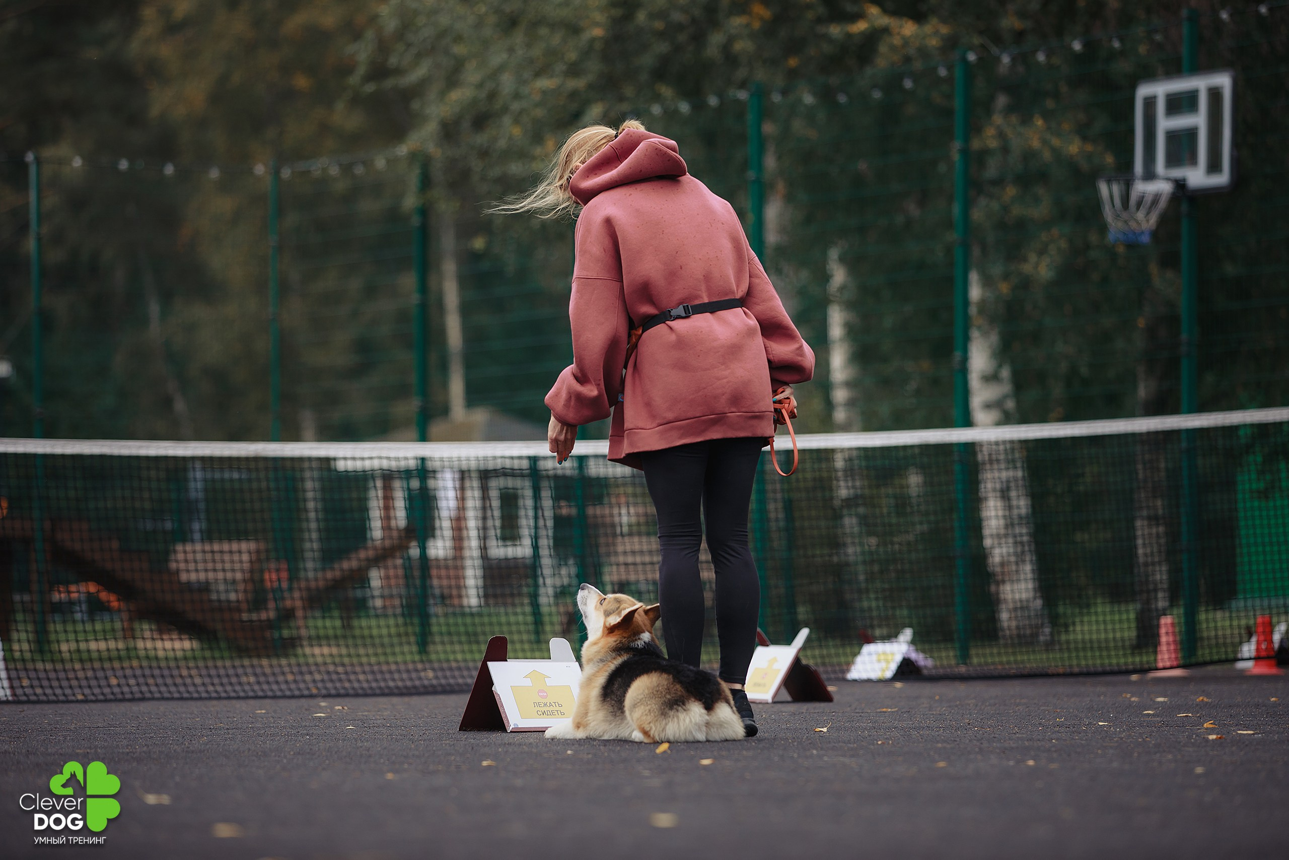 Кинологический лагерь CleverDog, 2024. Фотограф-анималист Mary Mart — Москва, Питер