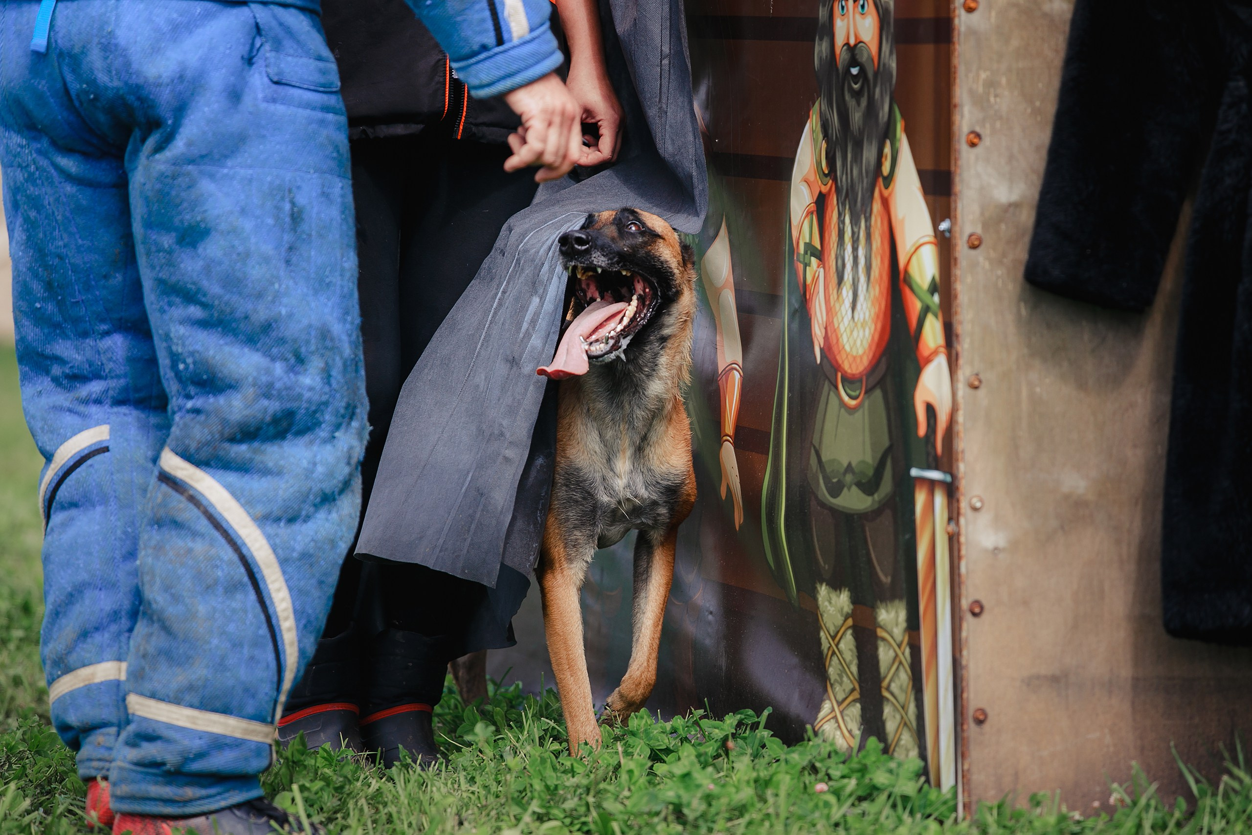 Мондьоринг М1, М2, М3, Вологда. Фотограф-анималист Mary Mart — Москва, Питер