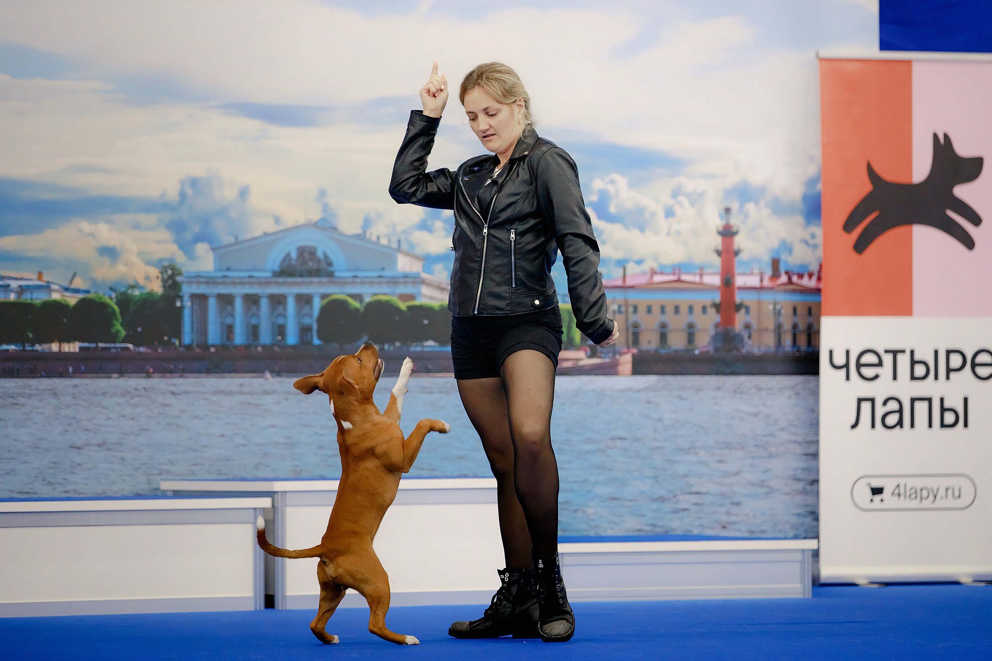 Танцы на выставке «Зоошоу», СПб. Фотограф-анималист Mary Mart — Москва, Питер