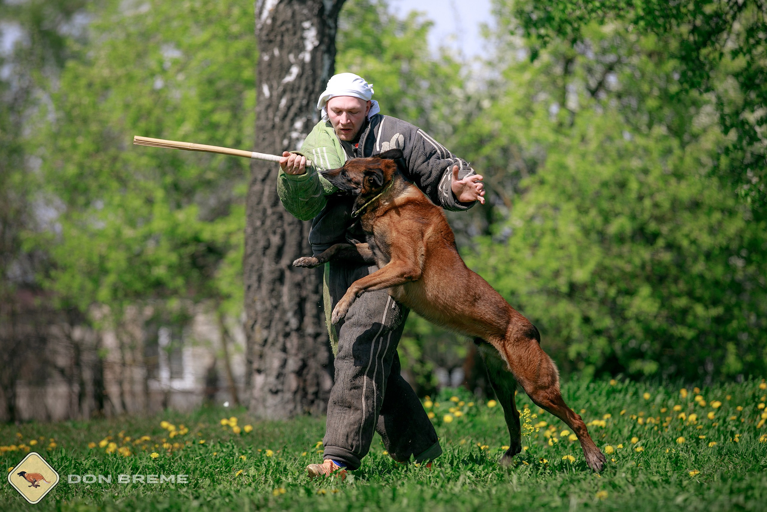 Семинар для фигурантов, день 4. Фотограф-анималист Mary Mart — Москва, Питер