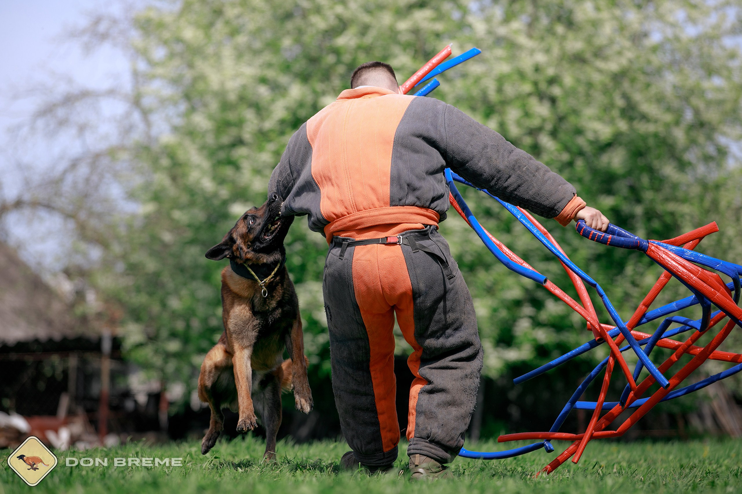 Семинар для фигурантов, день 4. Фотограф-анималист Mary Mart — Москва, Питер