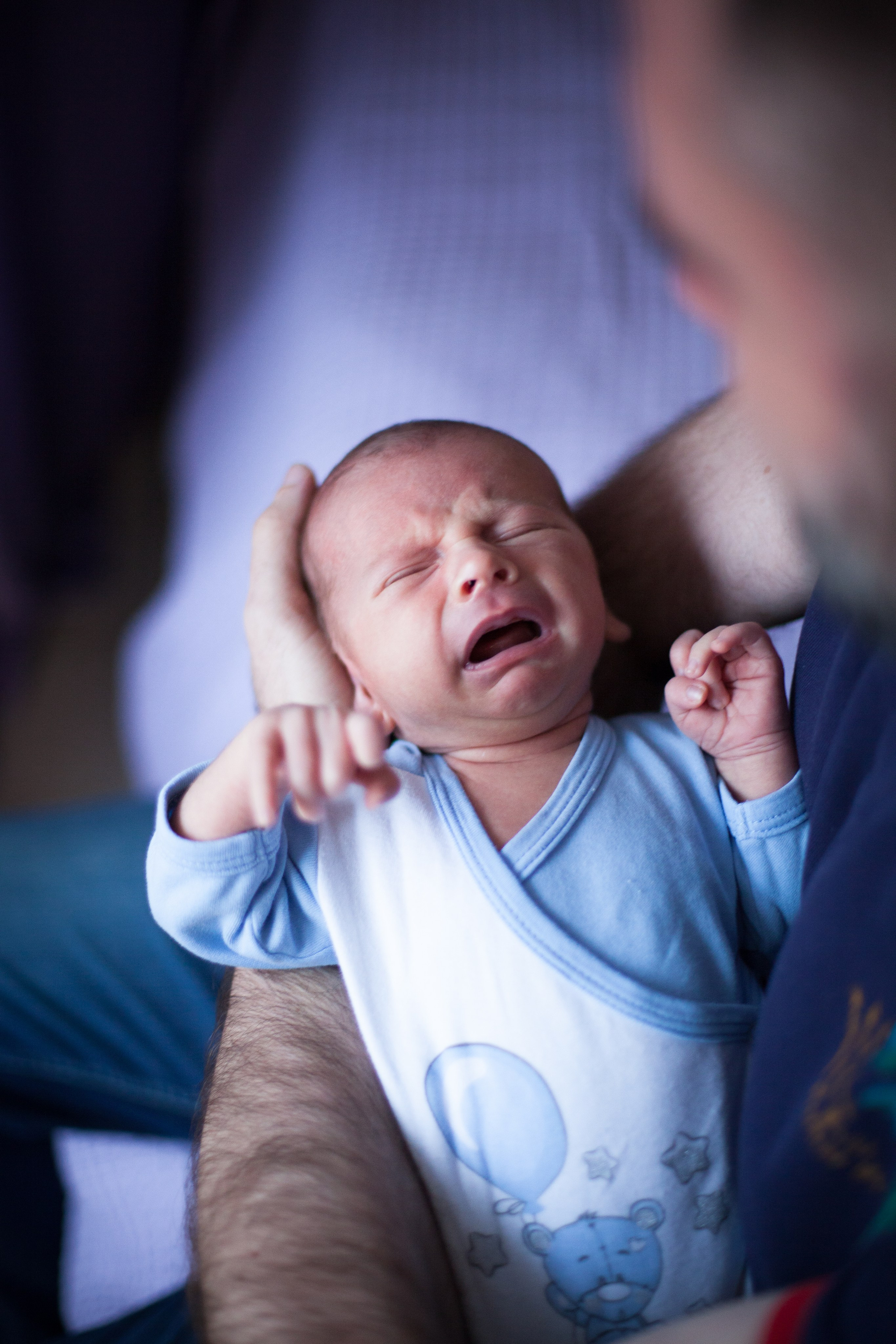 Новорожденные. Фотограф в Москве Наталья Антипина