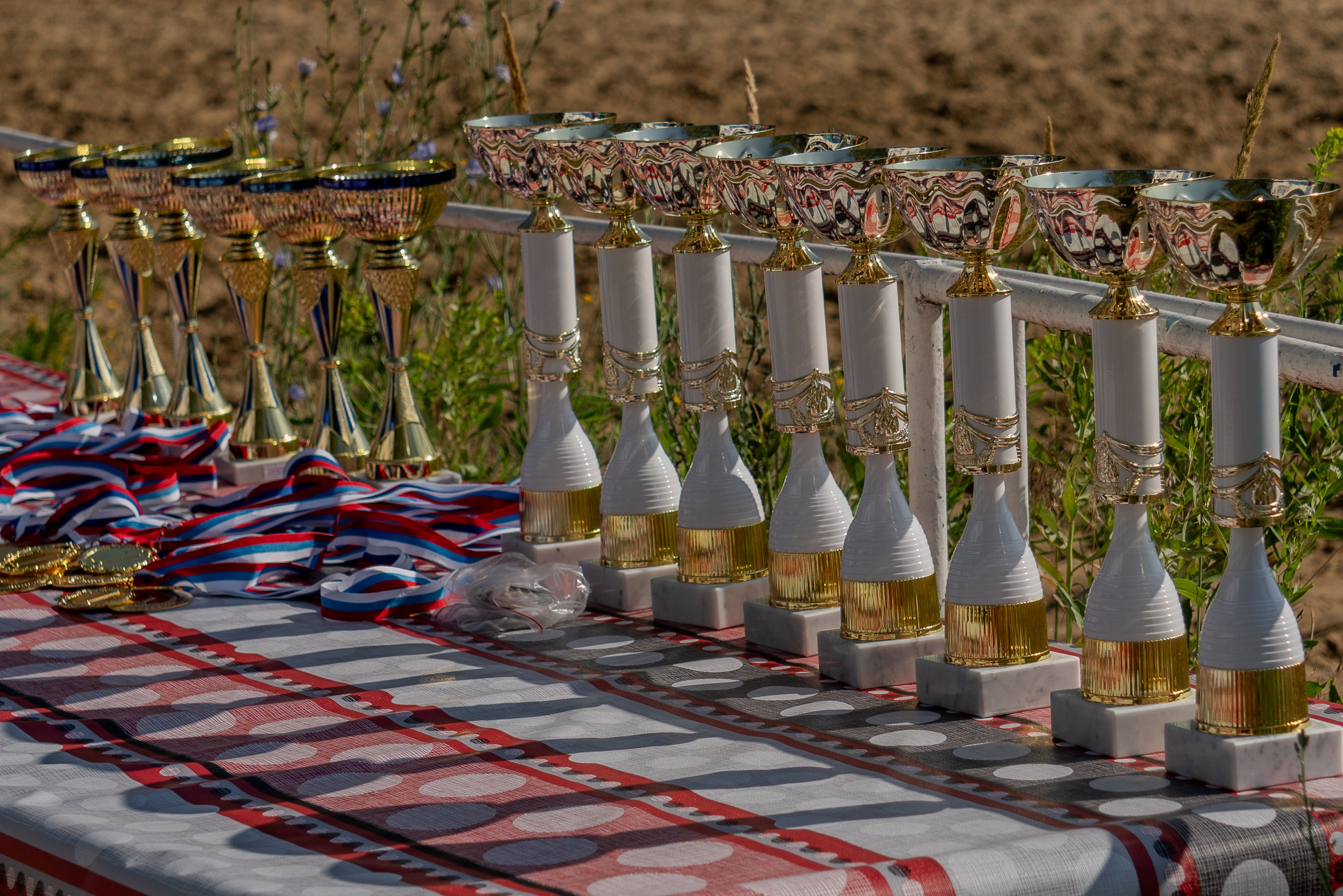 кубки и награды в ожидании победителей, кубок дружбы регионов по конкуру в Луганске