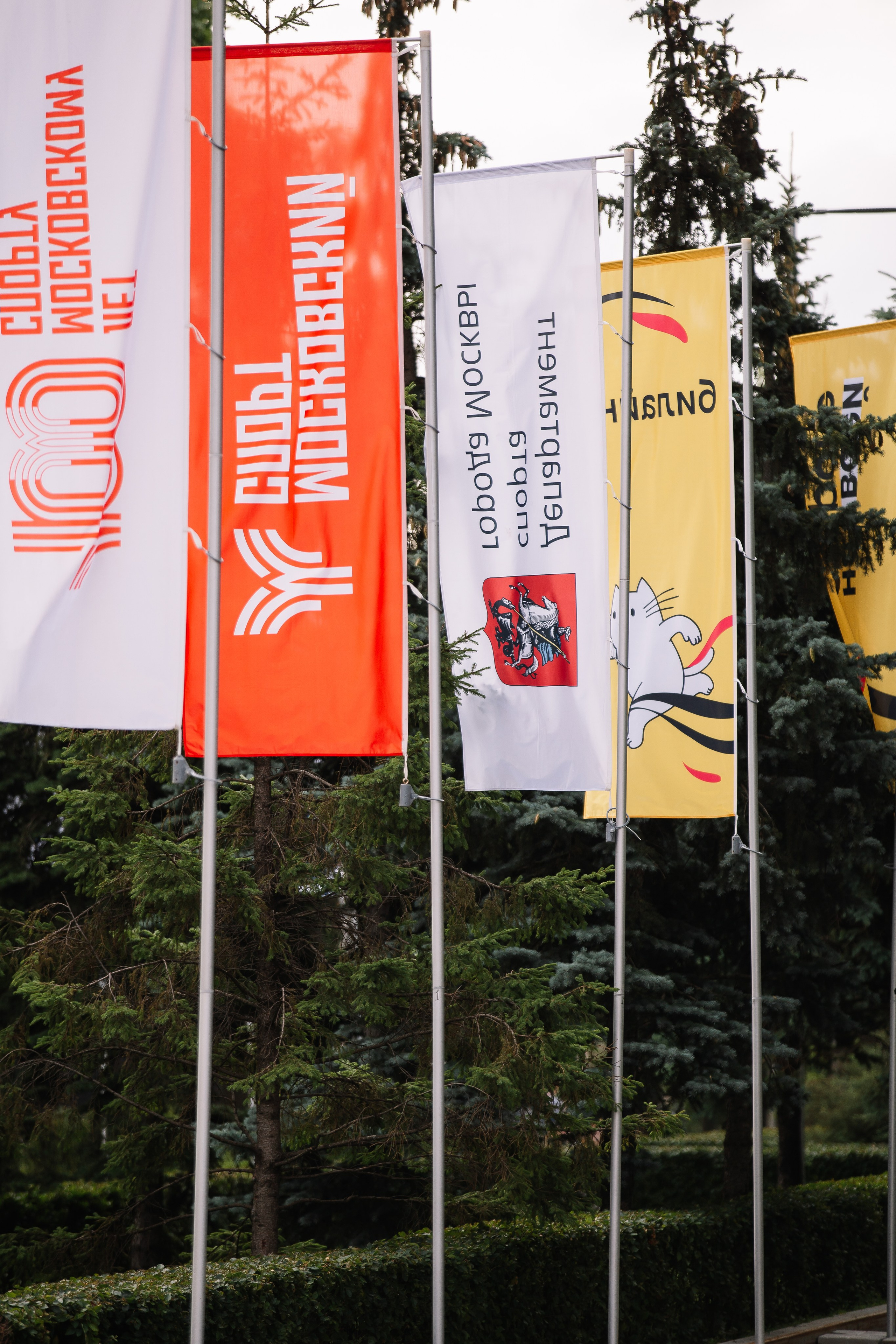 Красочный забег. Свадебный Семейный Репортажный фотограф в Москве