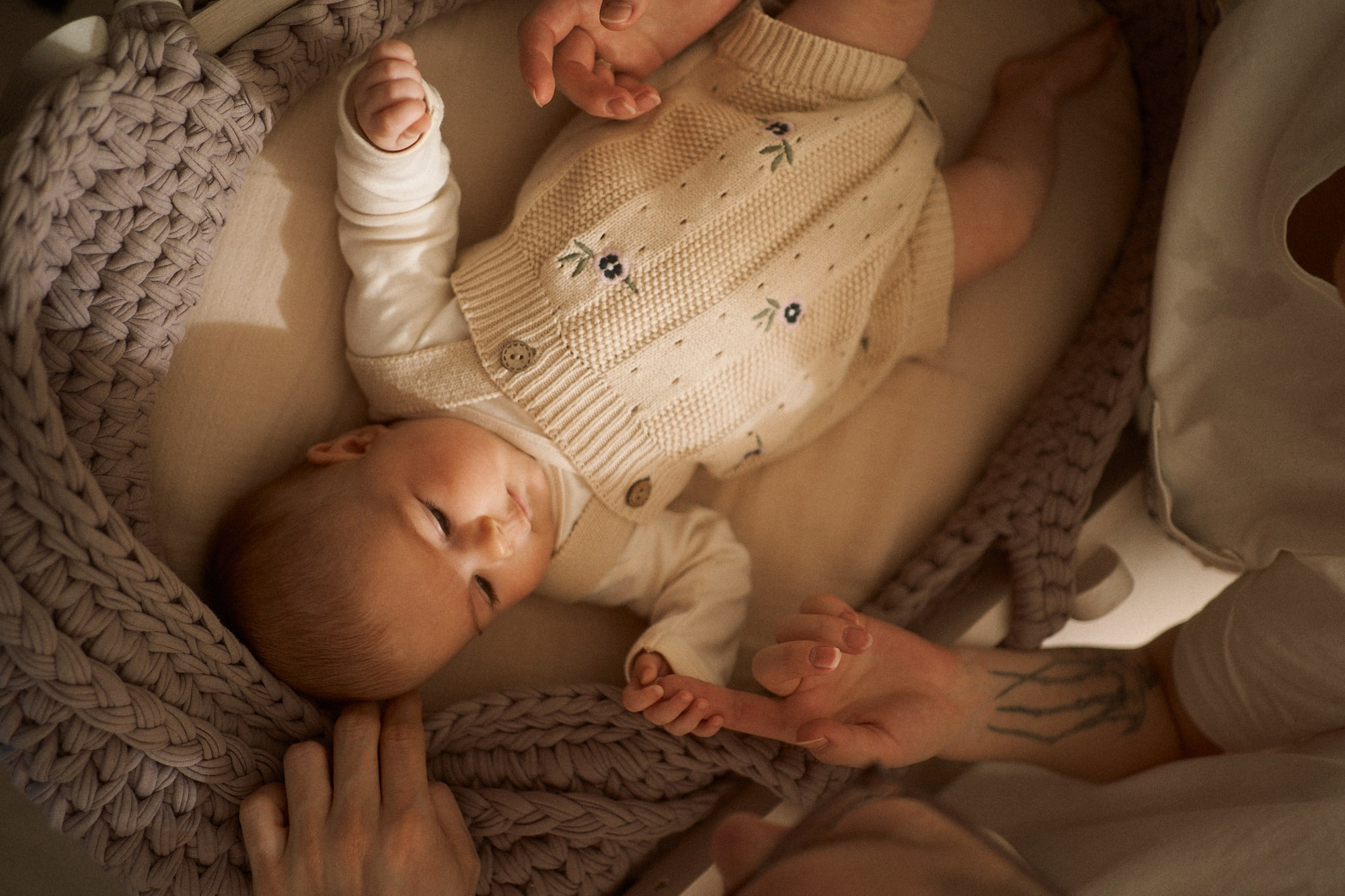 Вася, Даша и Нина. Фотограф анималист Москва Дарья