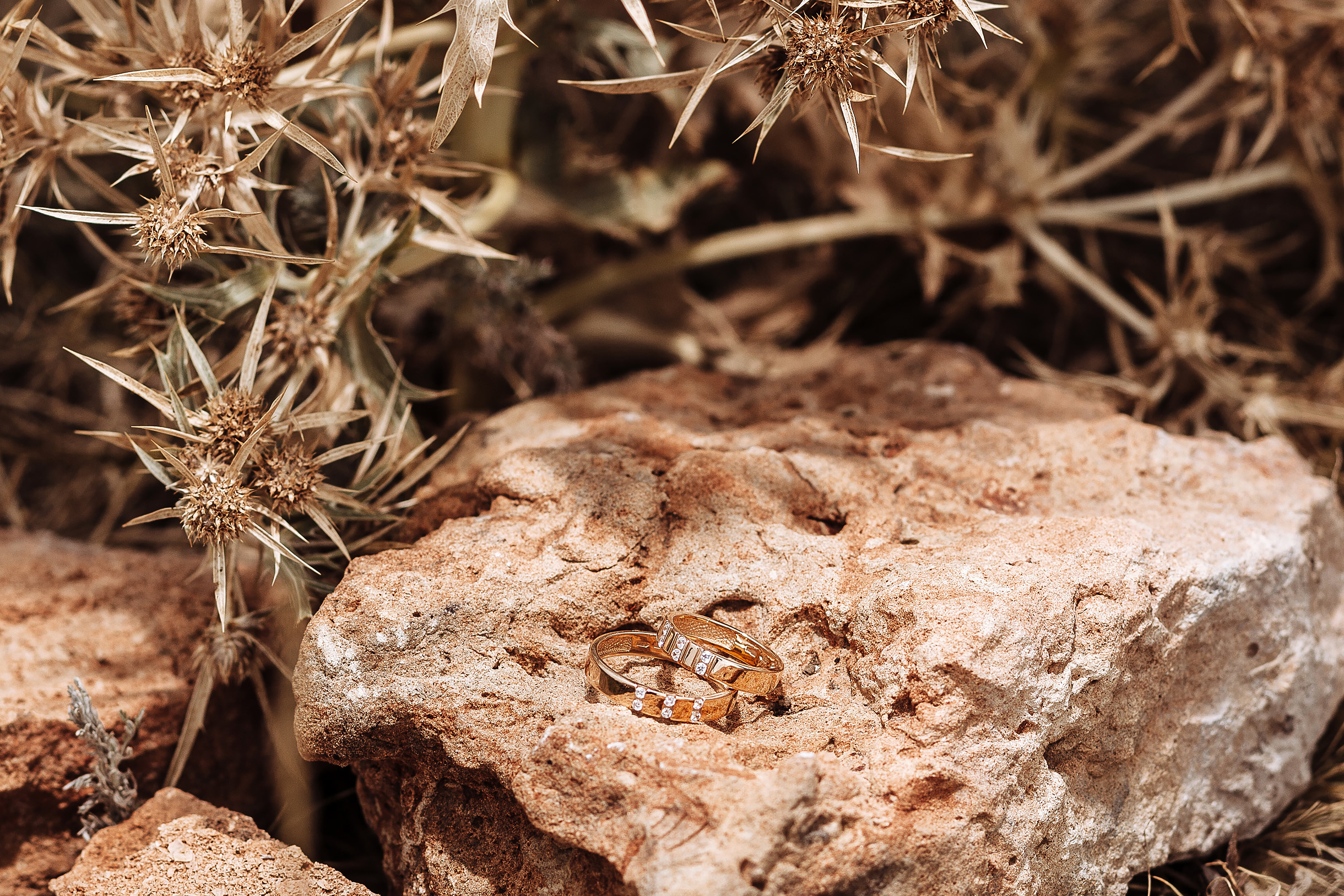 Роман и Светлана. Свадебный и семейный фотограф Владимир Карамышев