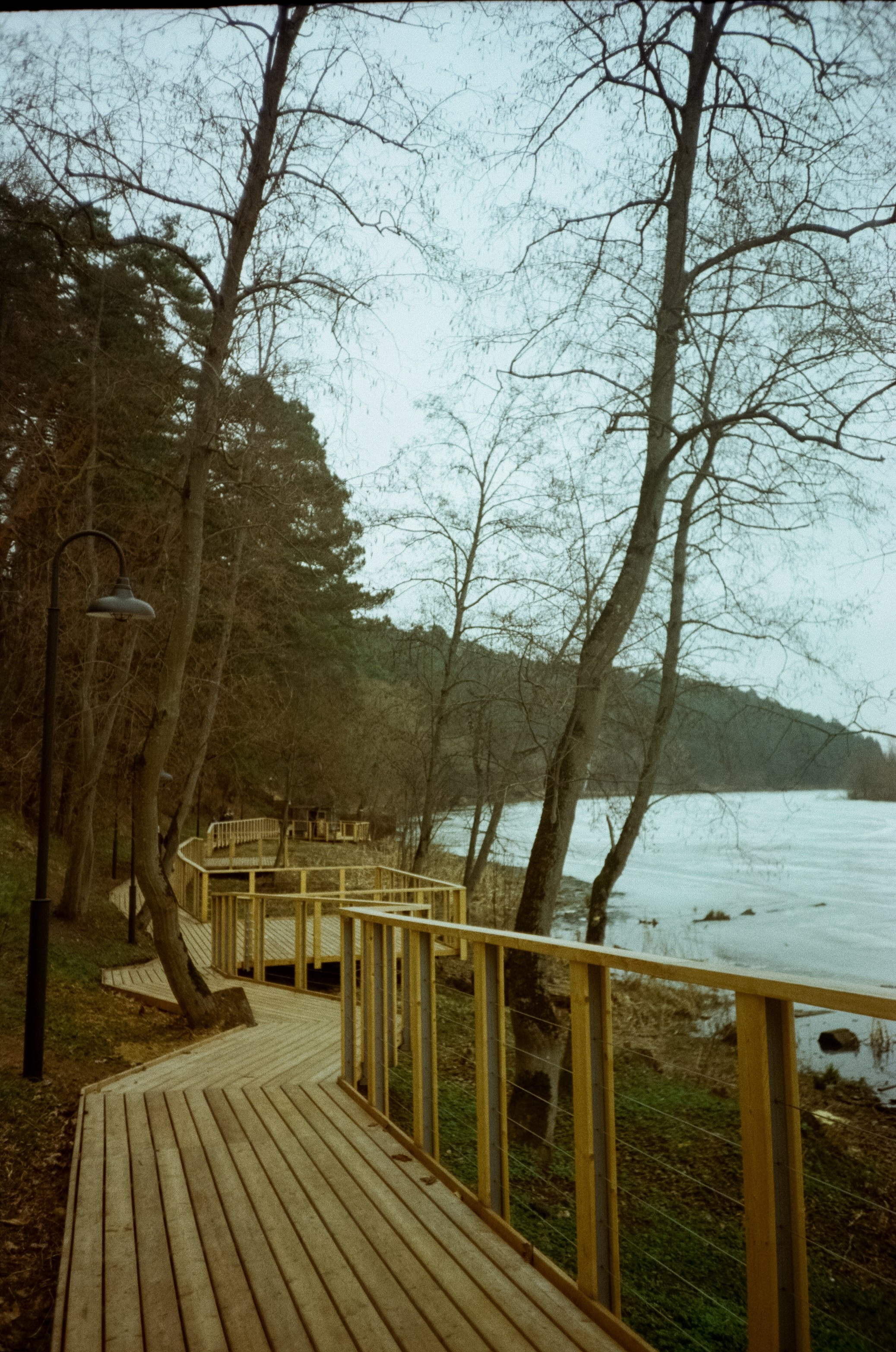 Архангельское. Пасмурный апрель. Фотограф-документалист Мария Осокина