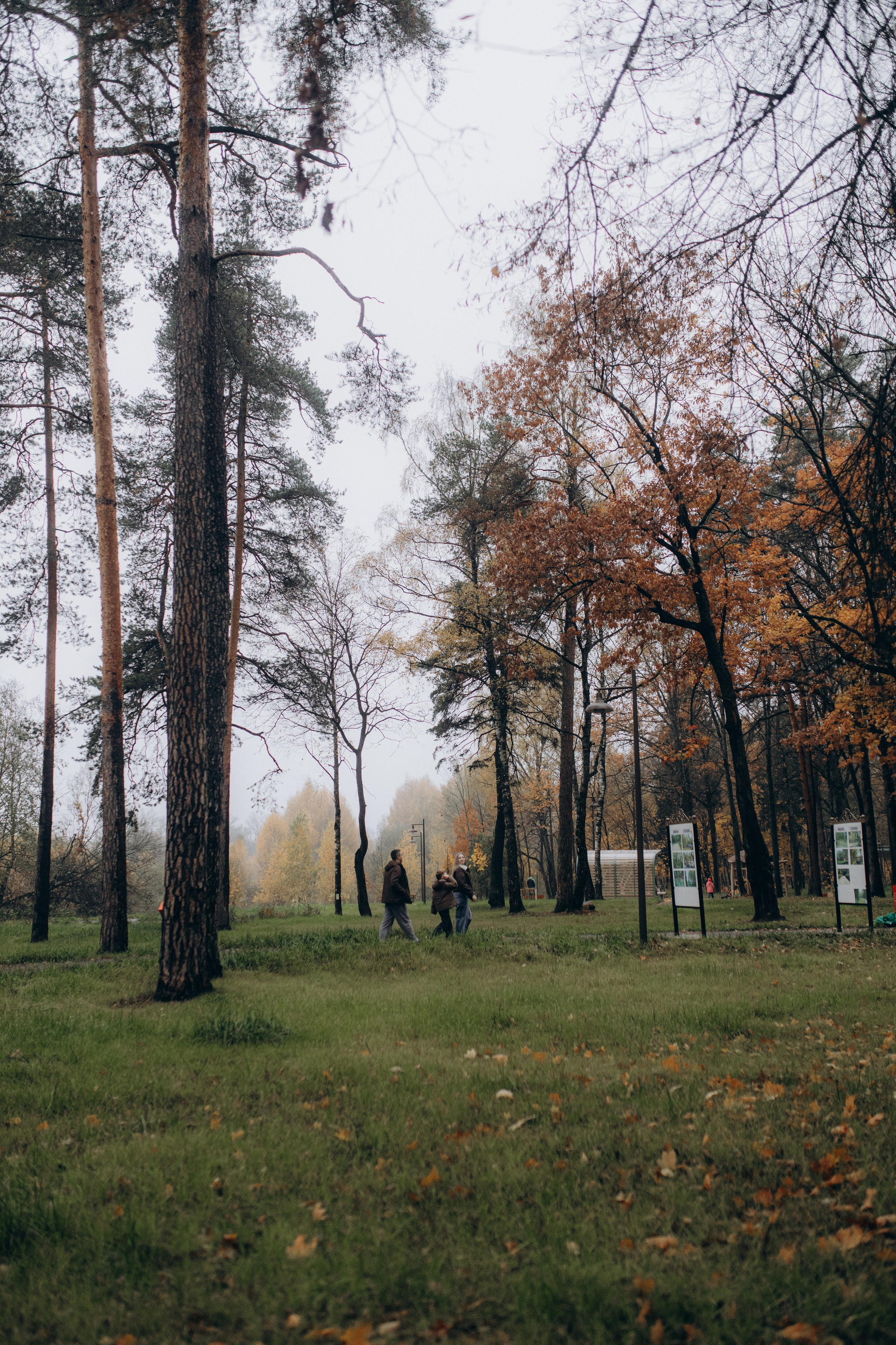Алина, Виталий, Илья. Фотограф НОГИНСК, Москва, Анастасия Белая