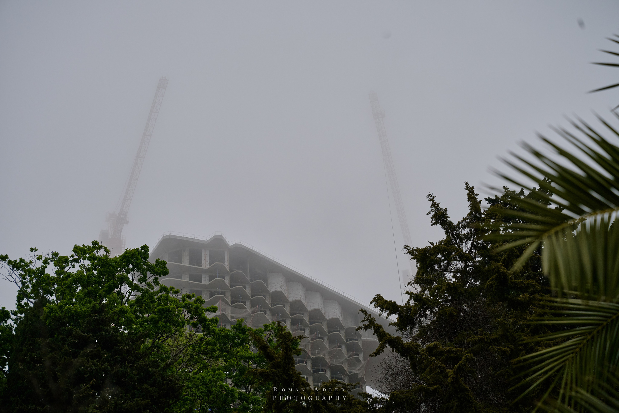 Сочи. Апрель 2025. Фотограф Роман Адлер