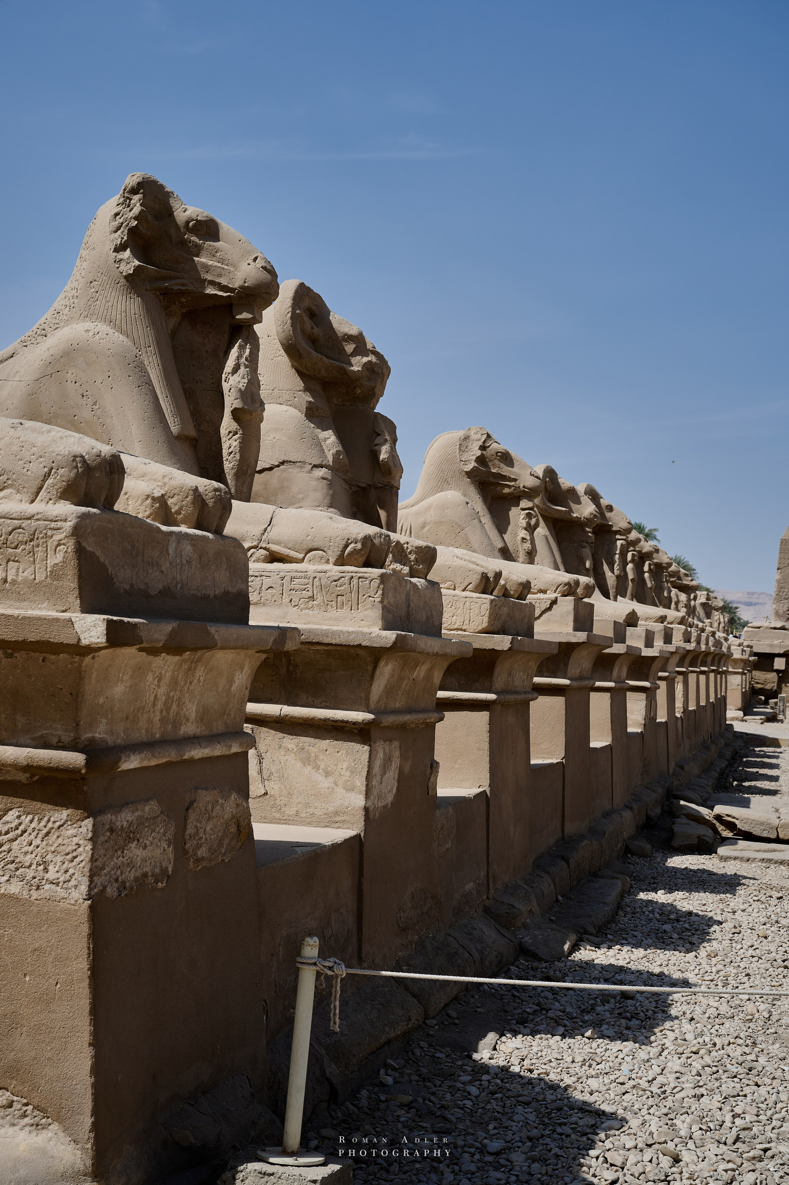 Луксор. Февраль 2025. Фотограф Роман Адлер