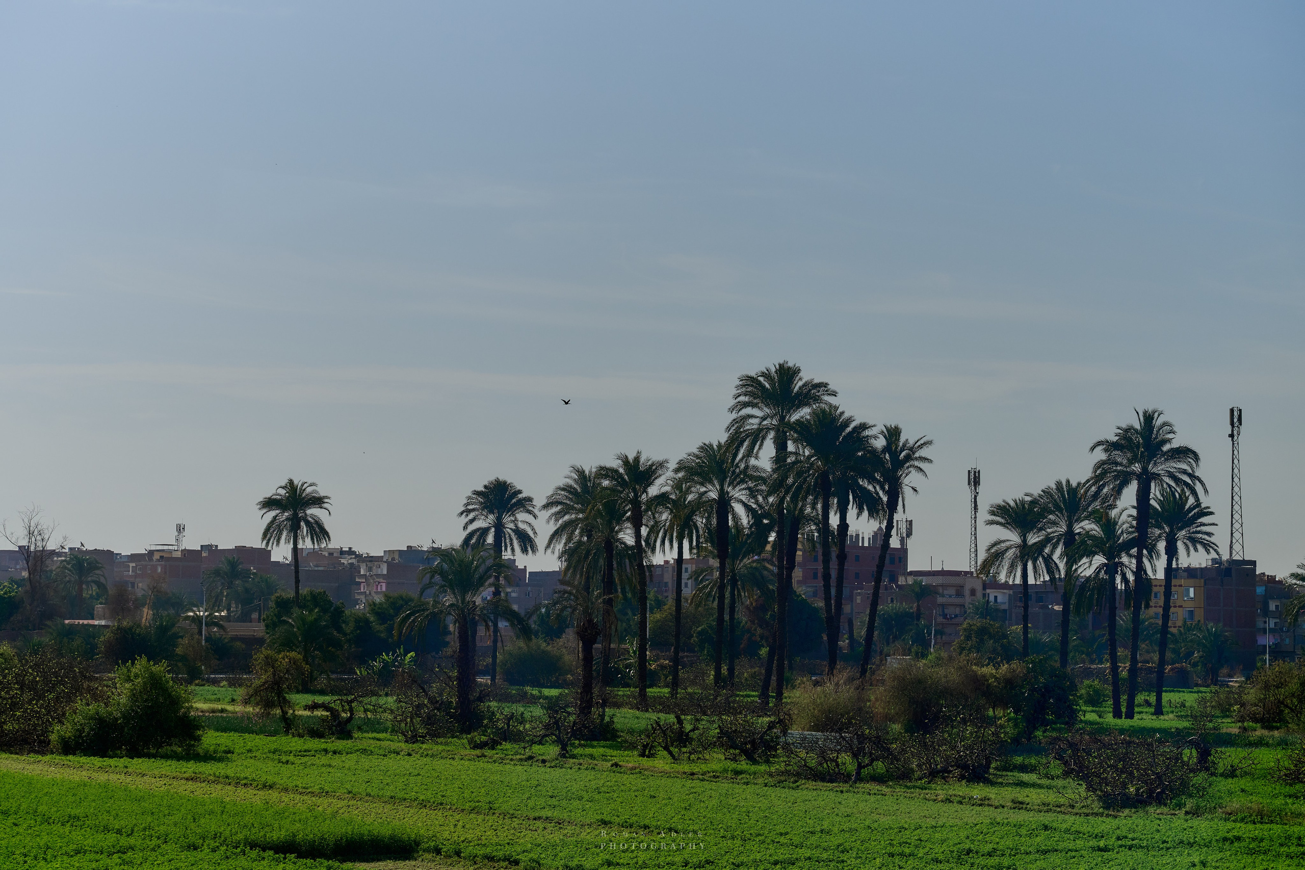 Луксор. Февраль 2025. Фотограф Роман Адлер
