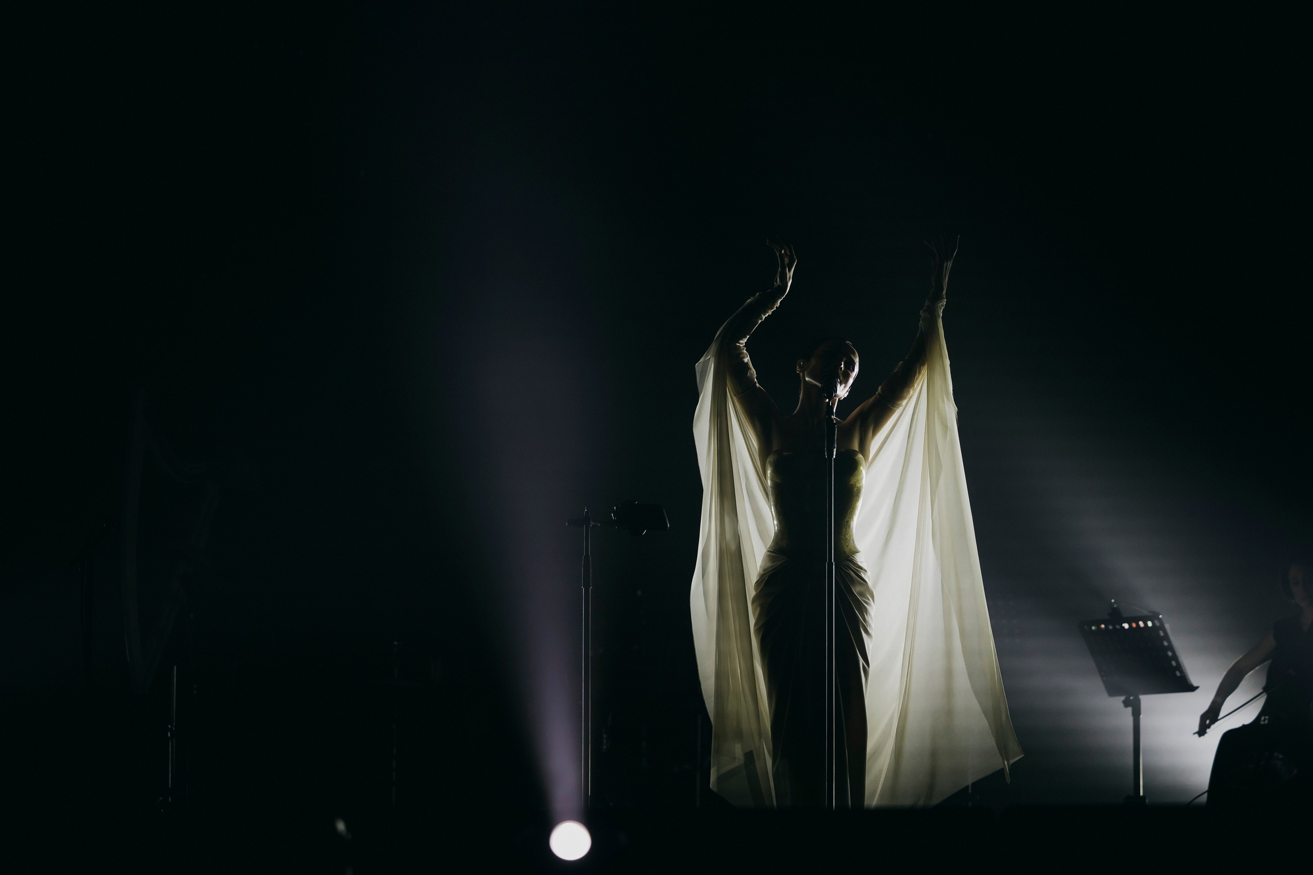 SATI ETHNICA, Crocus City Hall. «Птичка на проводе»: информационный портал в Москве