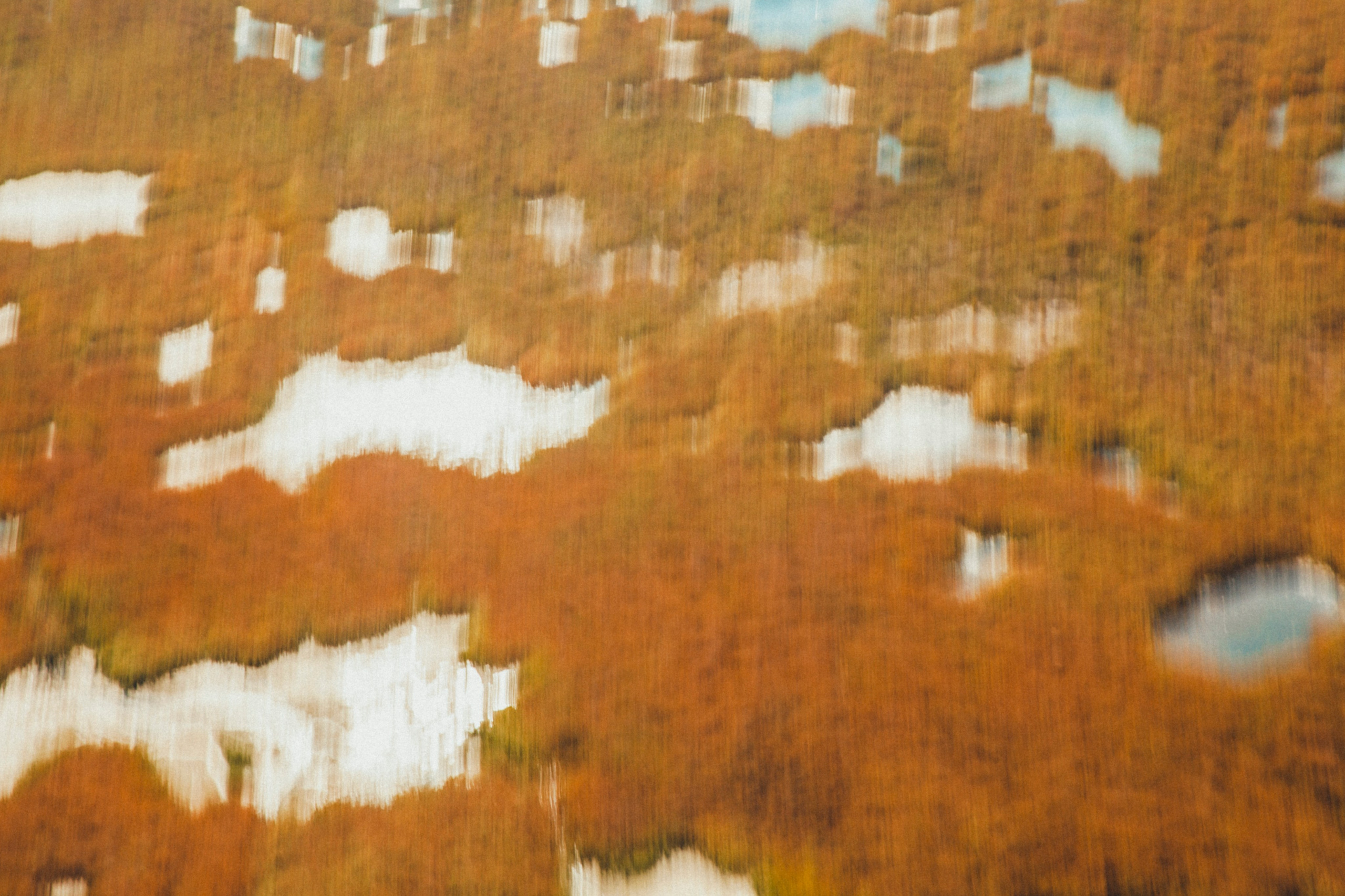 Каспийский страж. Фотограф Александра Степанова