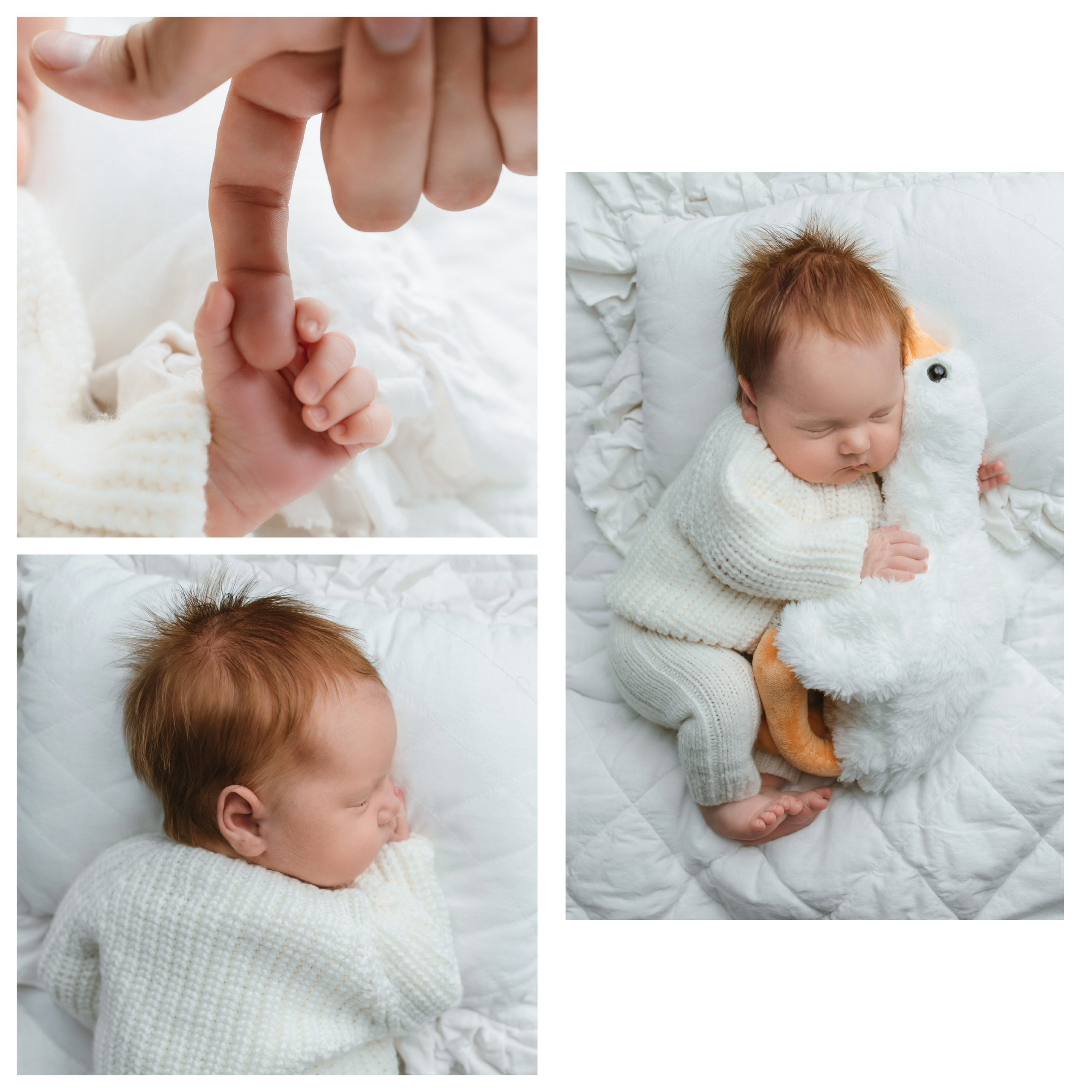 ПАКЕТ «Simple». Главная