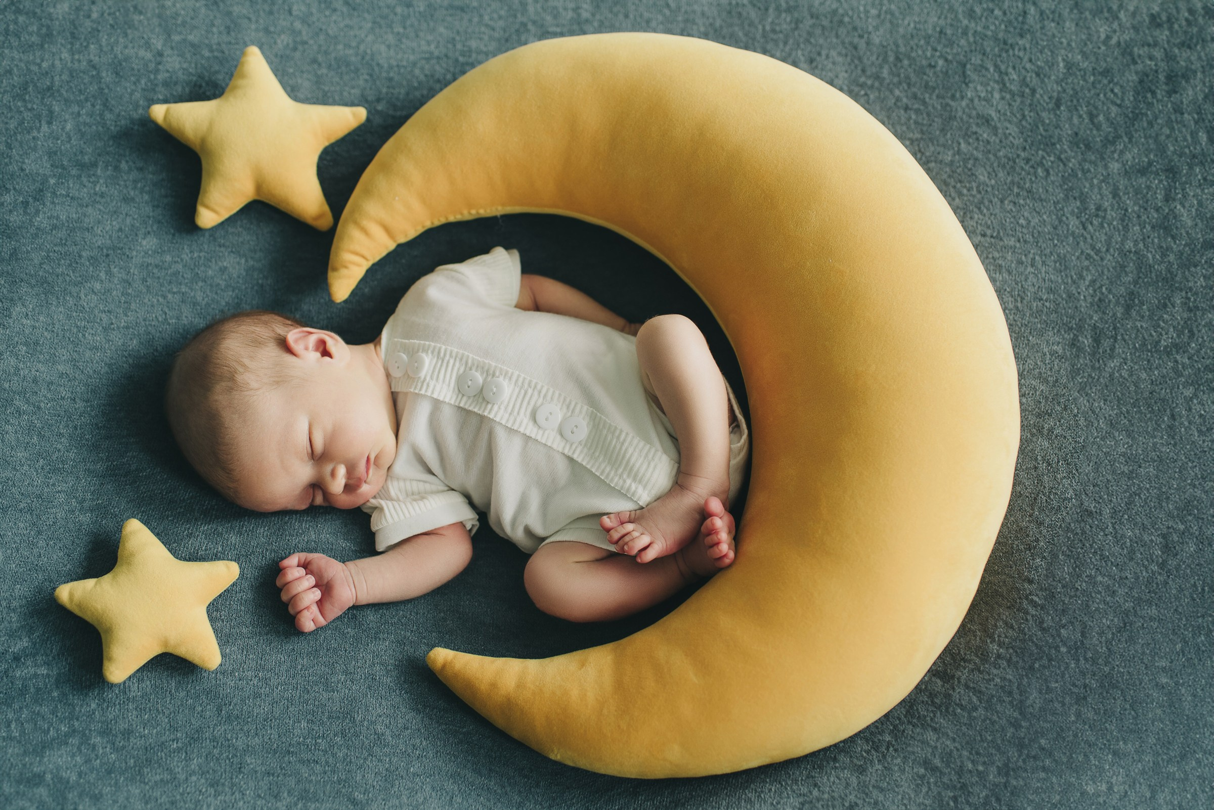 Лев. Фотограф в Москве новорожденные свадьбы семьи Дарья Ларионова