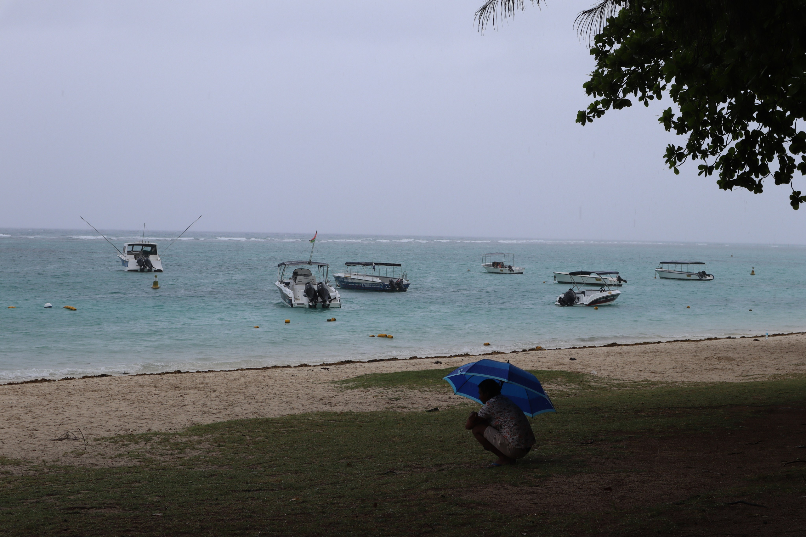 Путешествие на родину птицы додо. Travel photographer Ksenia