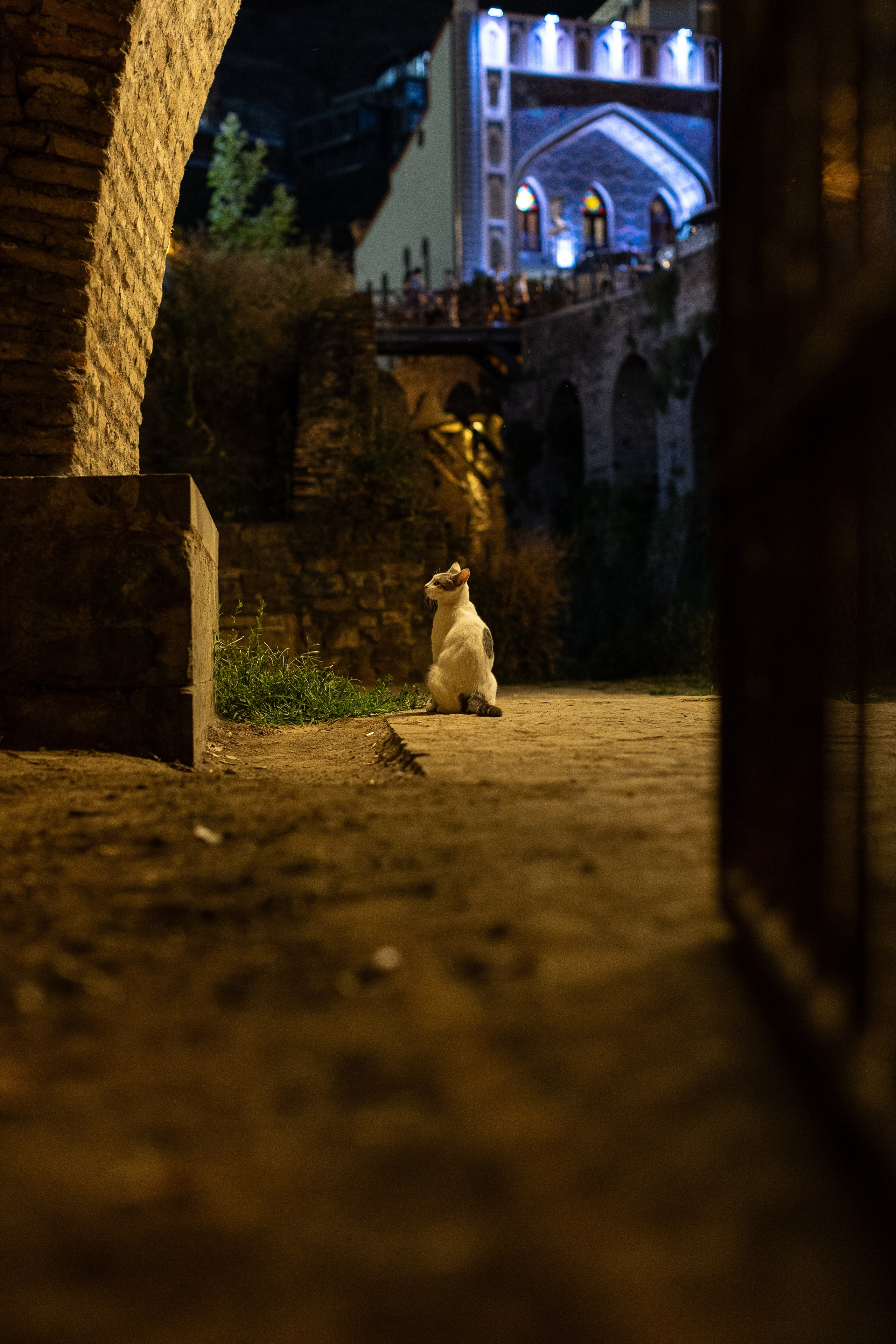 Грузия. Добродеева Алла фотограф, Москва