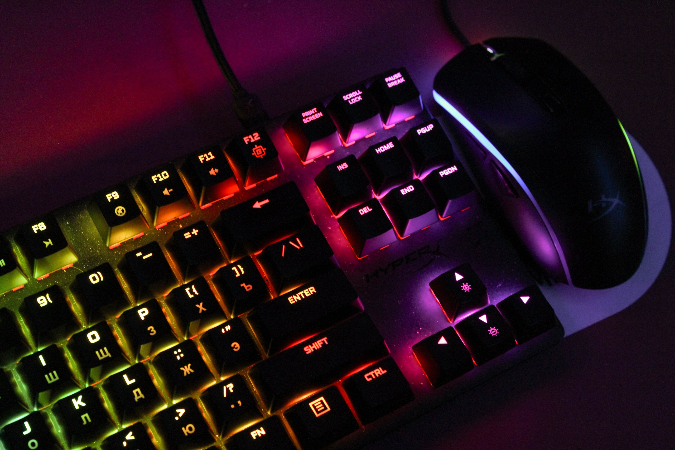 Cyber pride cs2 21.01.24. Карпогоры, Санкт-Петербург