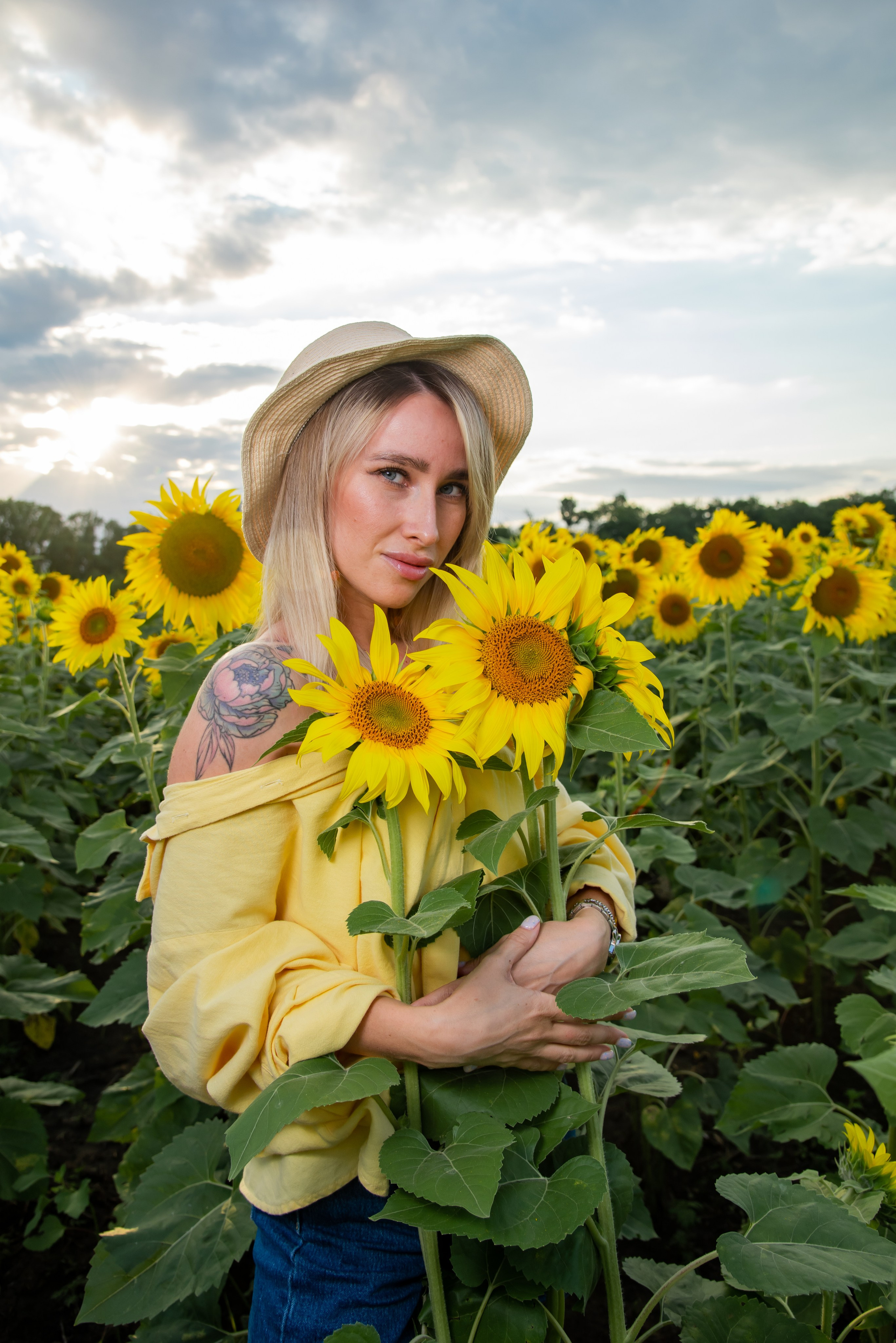 Подсолнух. Фотограф Галина Нестерова