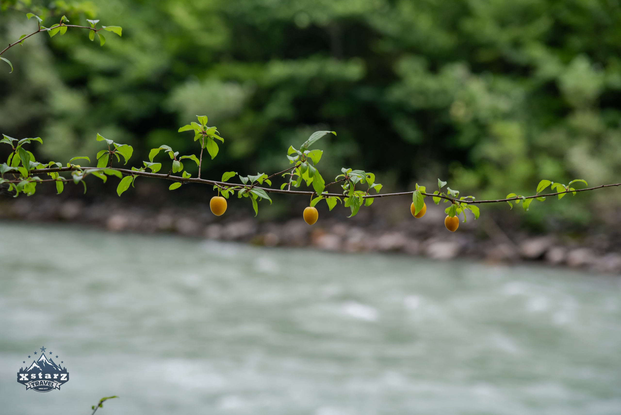 Тур в Абхазию. Фотограф Галина Нестерова