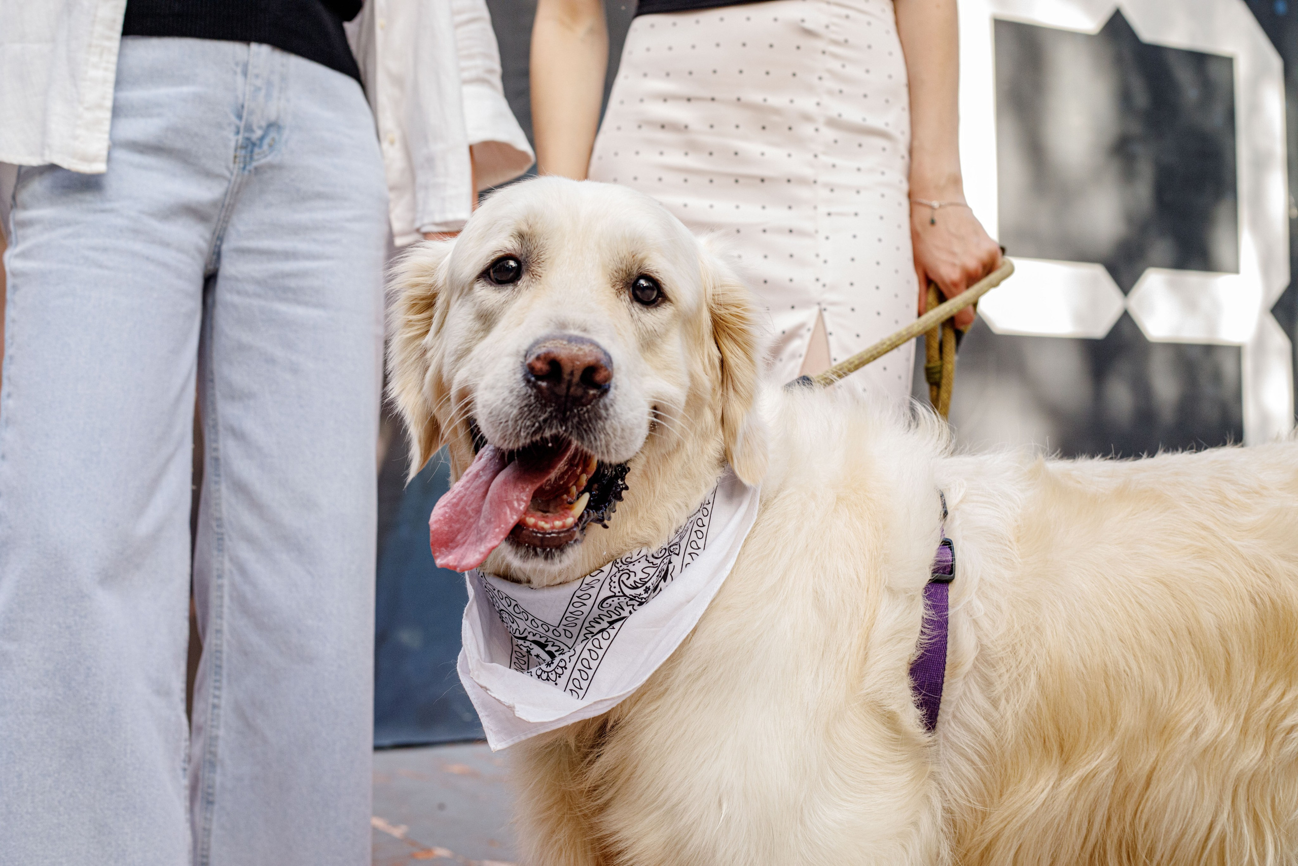 Золотистый ретривер и его хозяки. Фотограф Екатерина Козловская