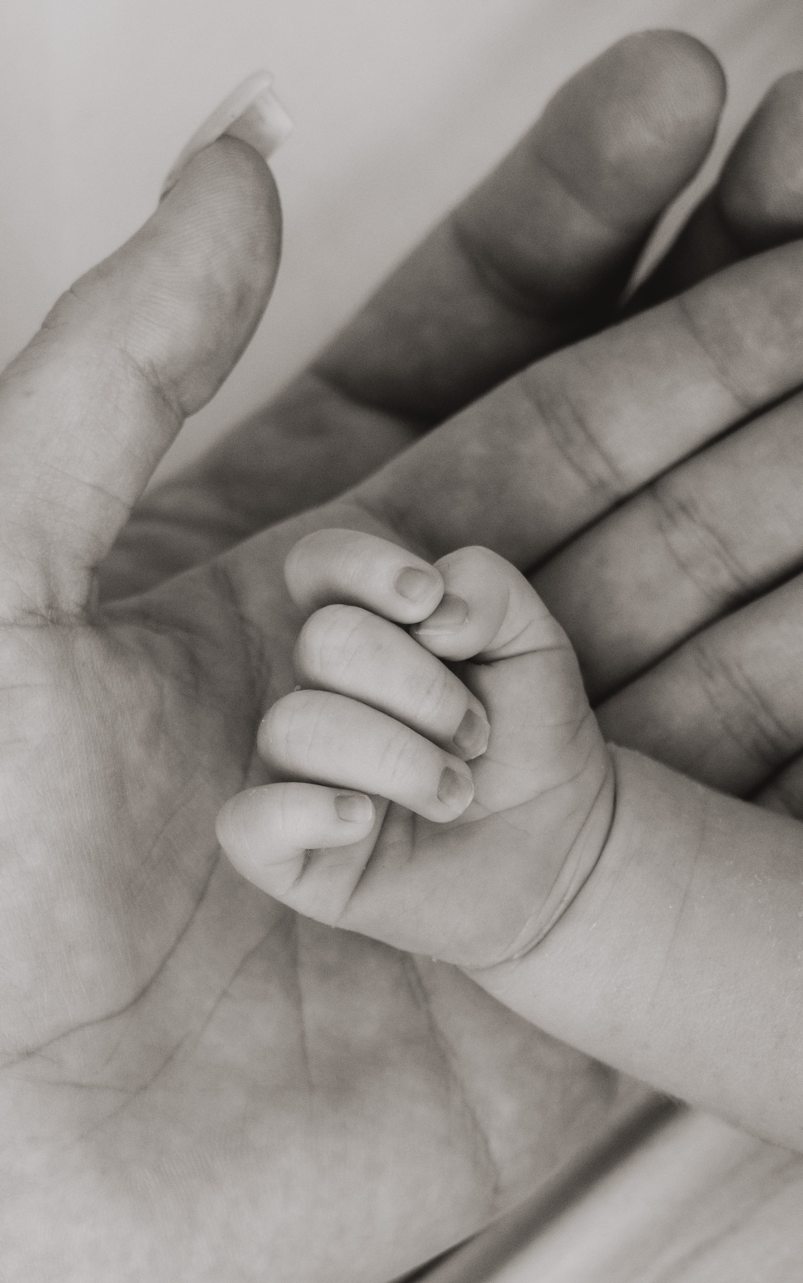 Выписка Евы + Нью Борн. Свадебный и семейный фотограф в Краснодаре Диана Смирнова