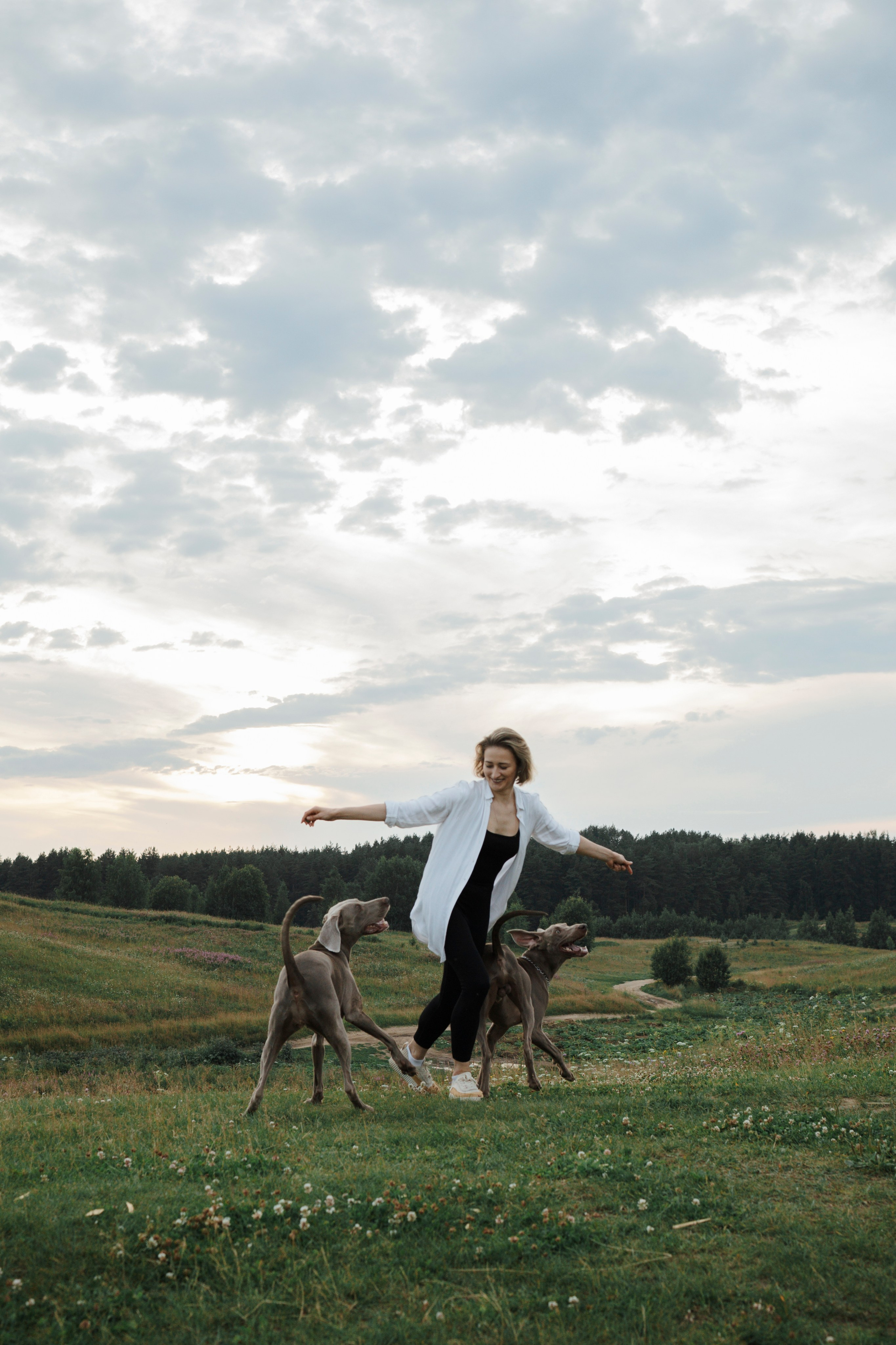 Маргарита и веймаранеры. Фотограф-анималист в Санкт-Петеребурге Титова Алиса