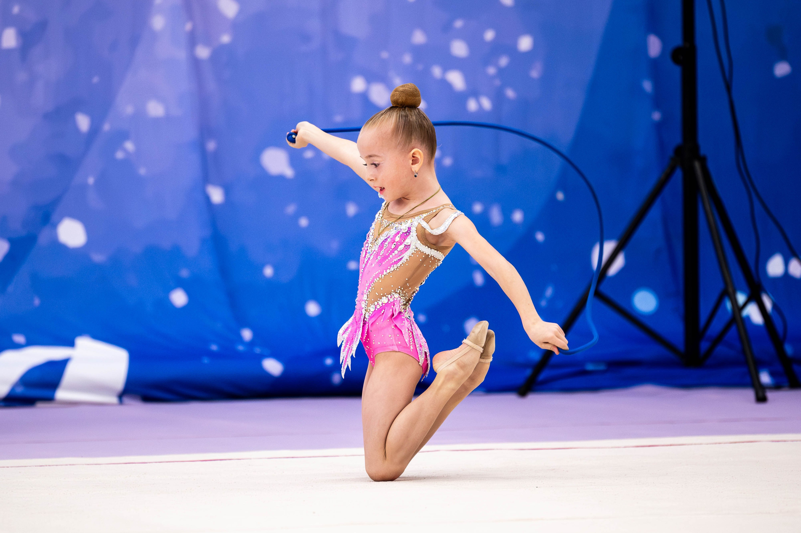 ЦХГ Династия «Зимняя сказка»