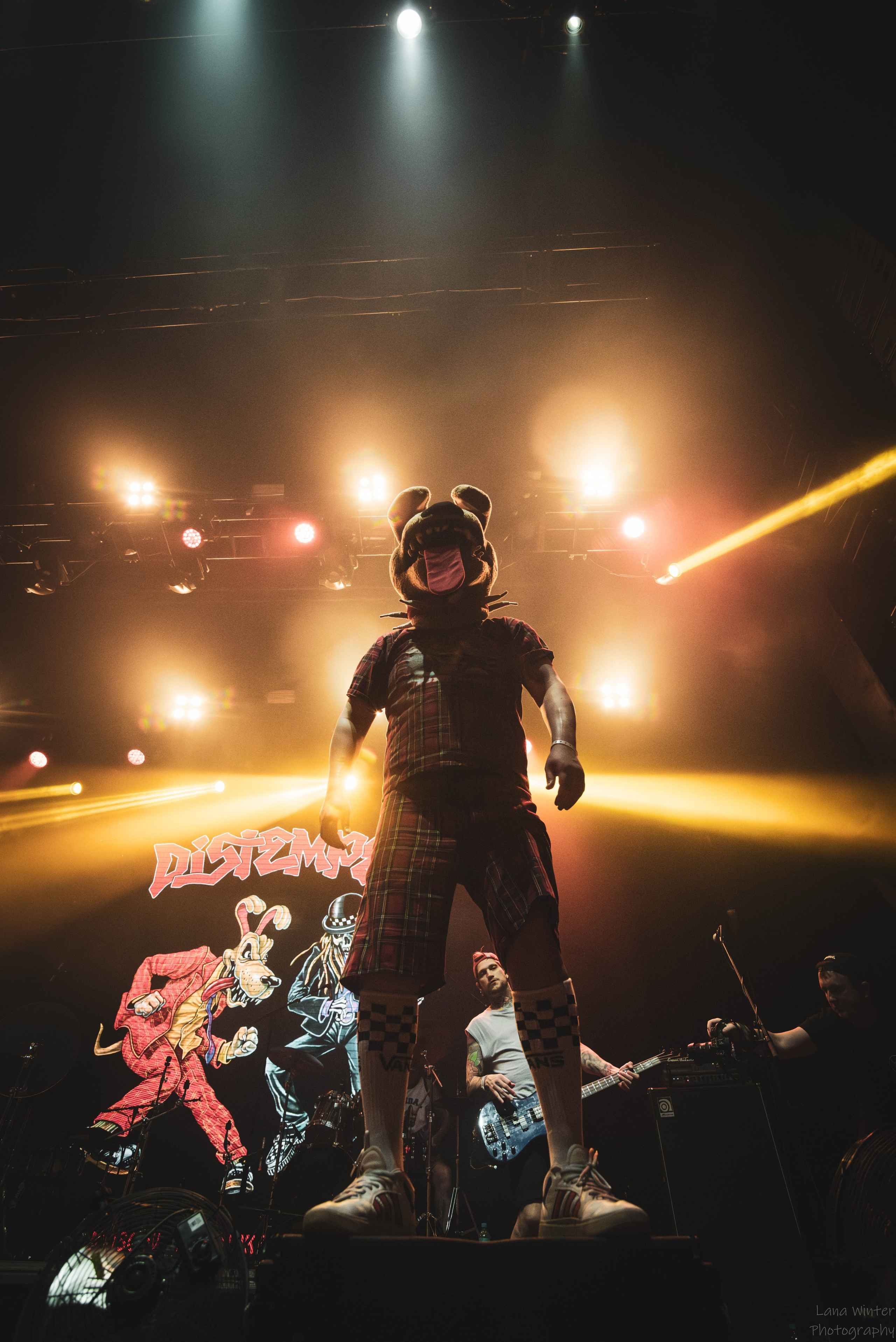 Distemper (4 января 2026 года, Москва, клуб Base). Фотограф Светлана Блинова, Москва и Московская область