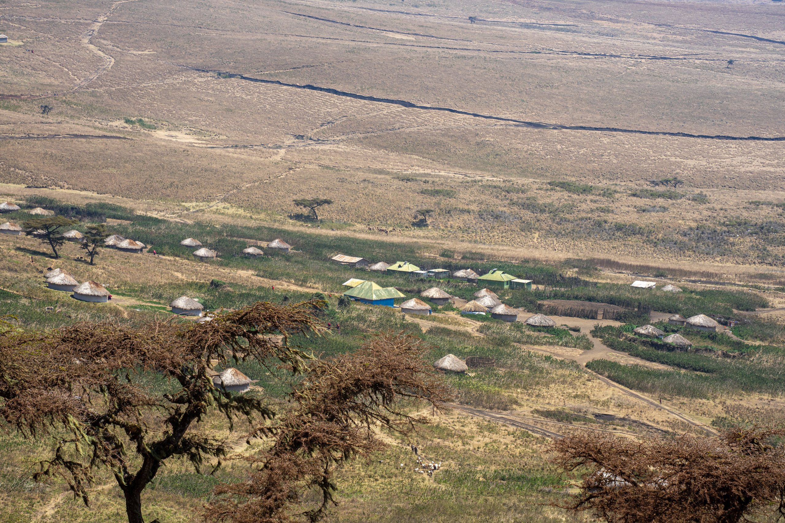 Танзания, сафари, 2025. Творческие сьемки