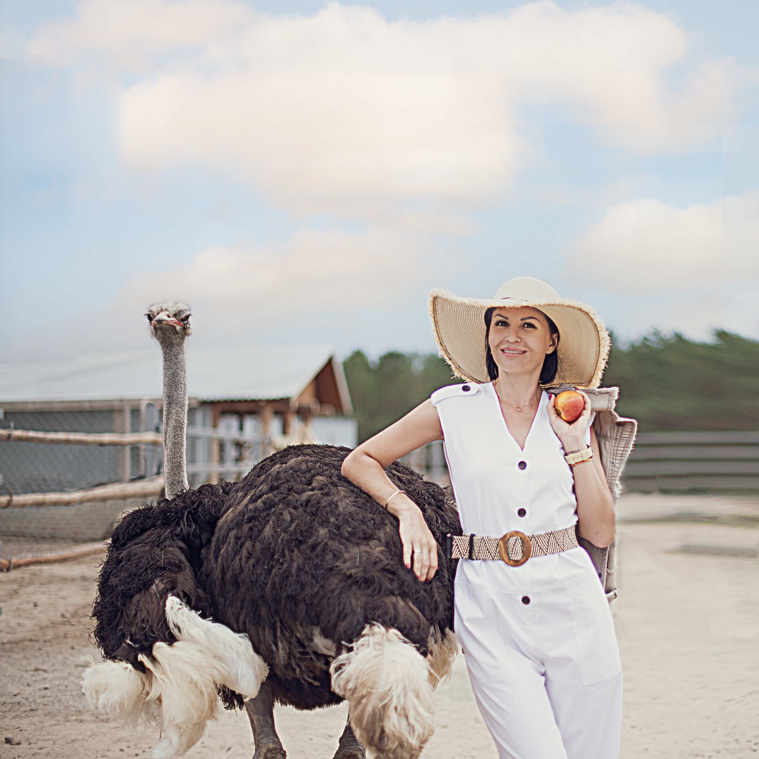 Елена & Страусиная ферма. Свадебный и семейный фотограф Барнаул Новоалтайск