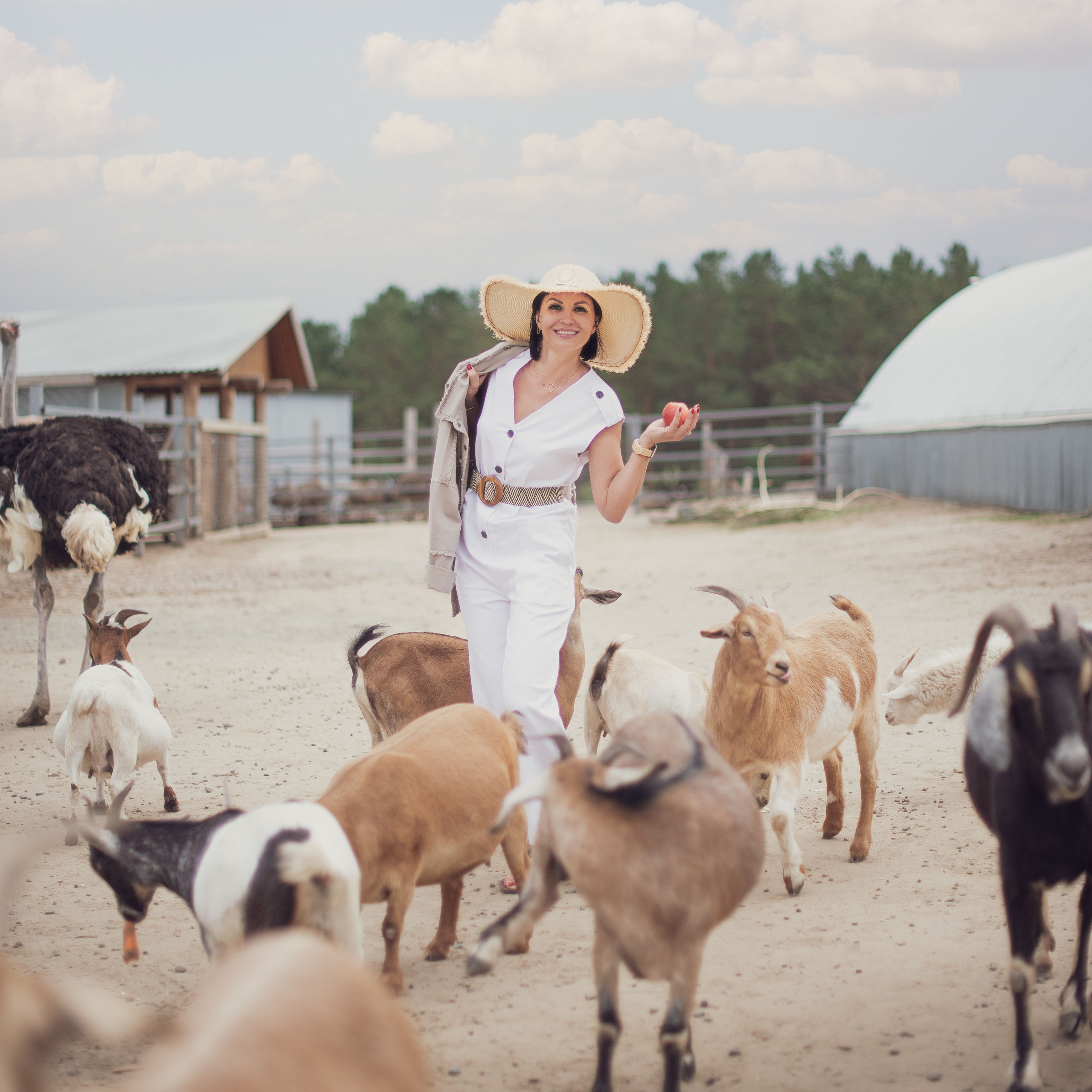 Елена & Страусиная ферма. Свадебный и семейный фотограф Барнаул Новоалтайск