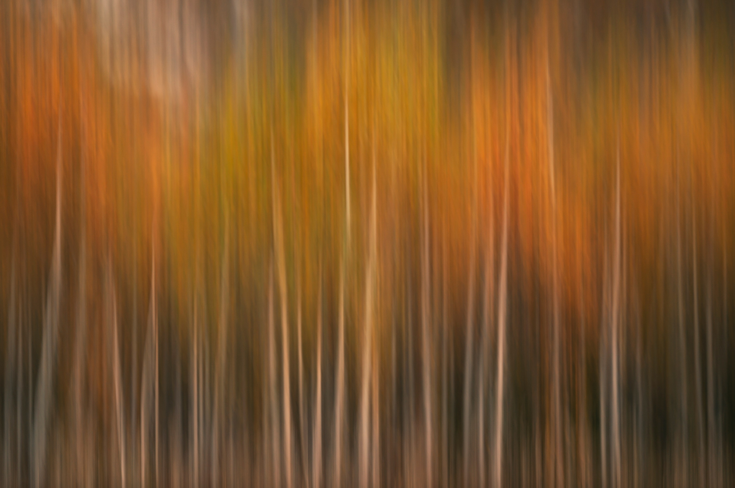 Курганская область. Портретный фотограф в Челябинске Катерина Руди