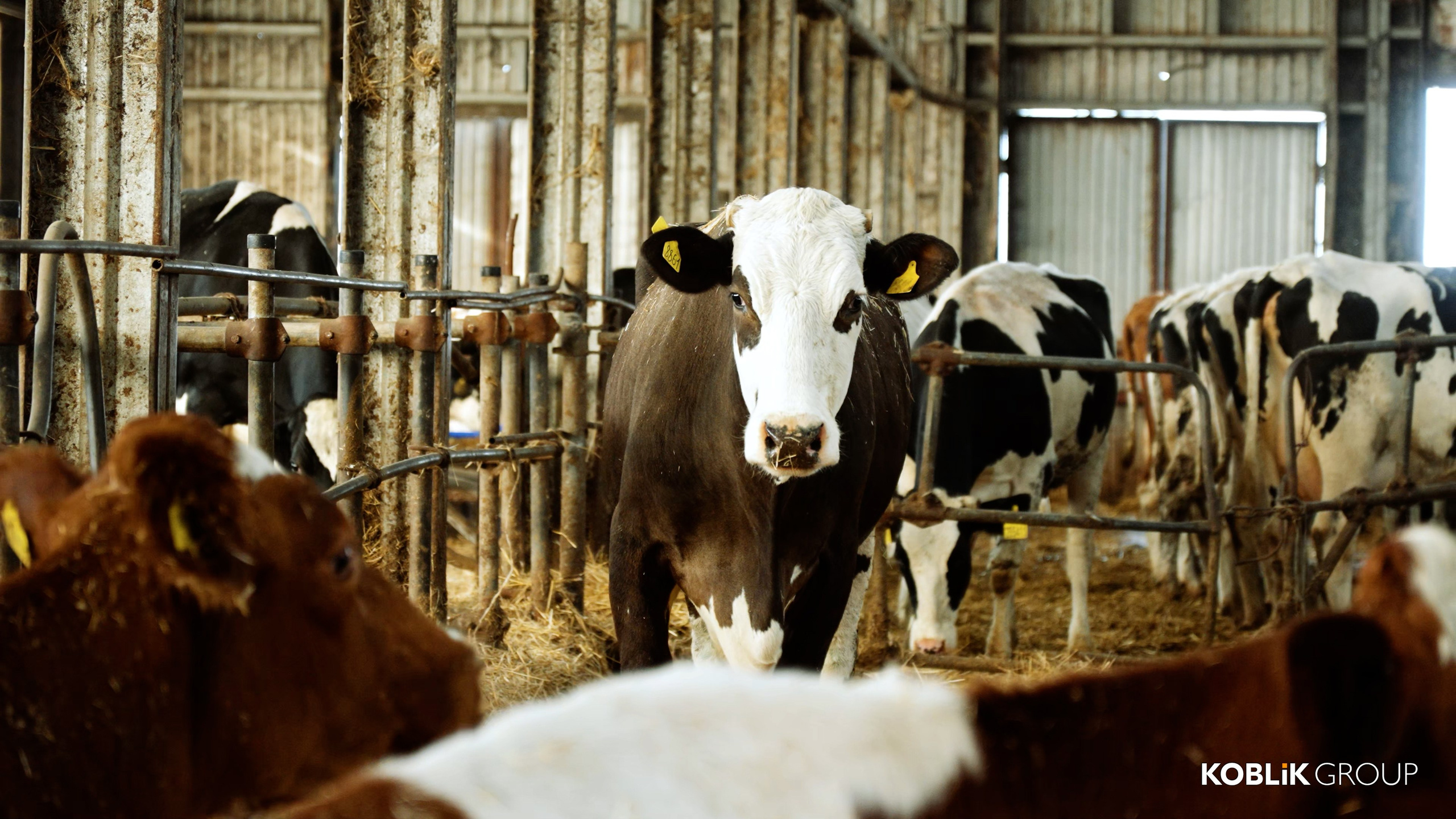 Аграриям и промышленности. Видеосъемка для бизнеса Воронеж