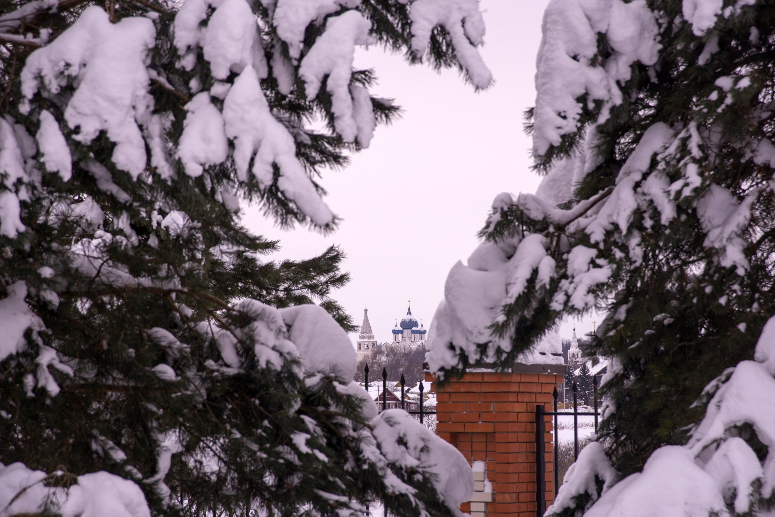 Суздаль. Январь 2022. Игорь Жучков. Россия увиденная глазами путешествующего фотографа
