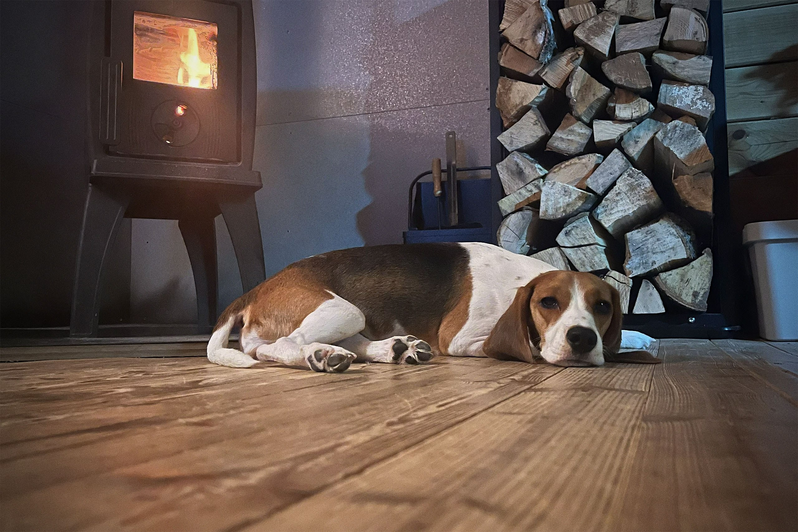 Статьи. Фуд-фотораф в Москве Тимур Поляков