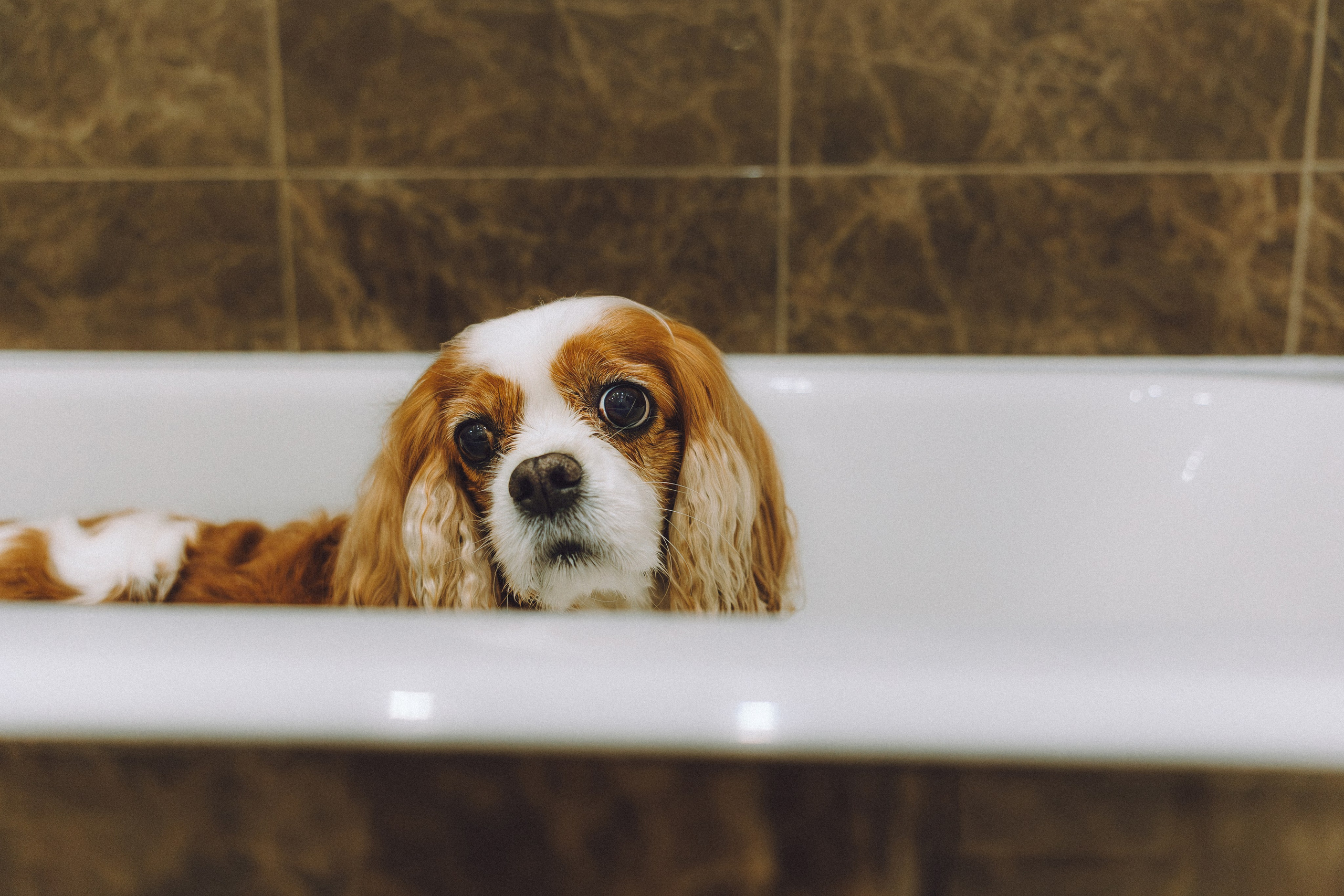 Наташа и Вики