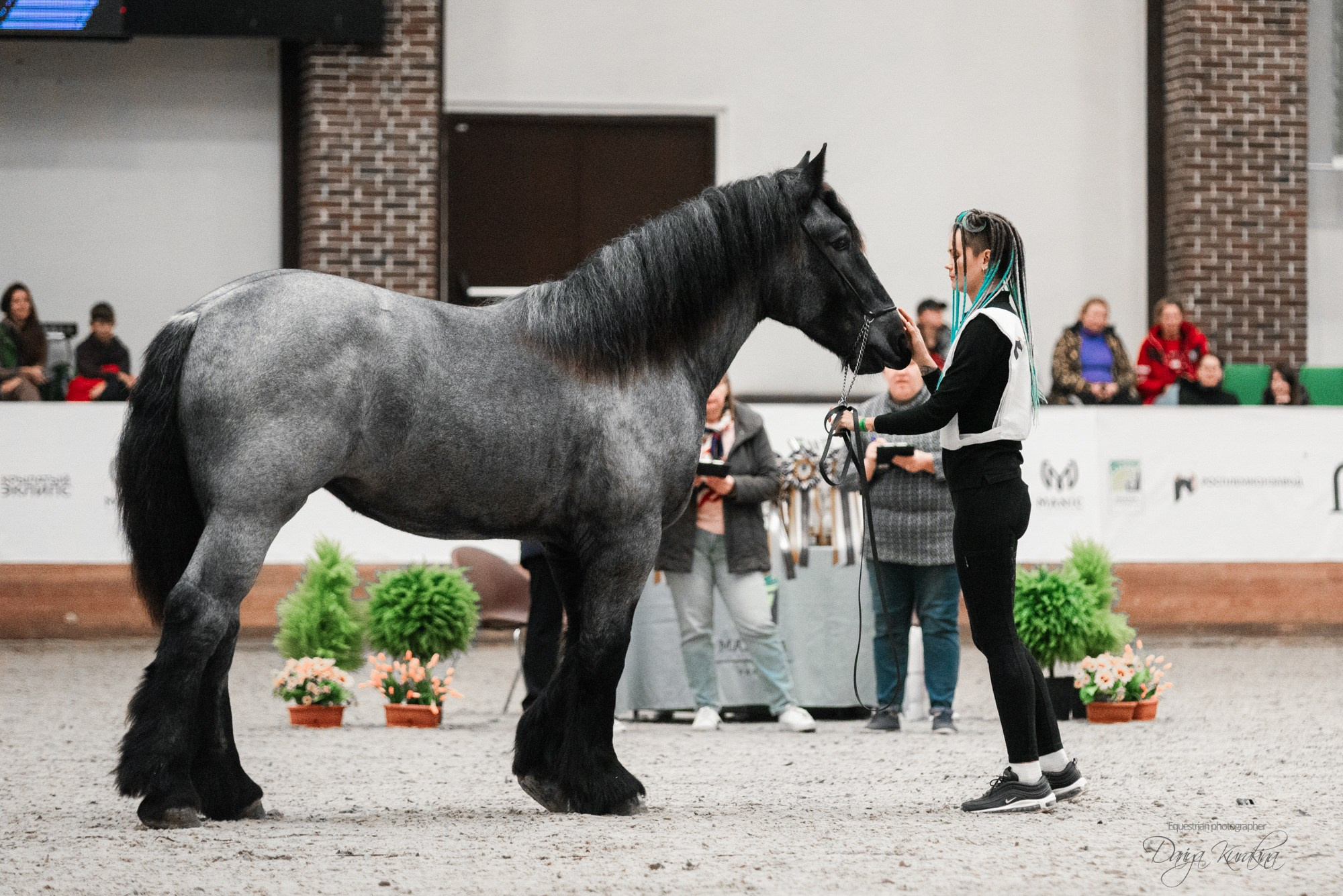8-я международная выставка Конная Россия. Конный фотограф Куракина Дарья • Фотосессии с лошадьми