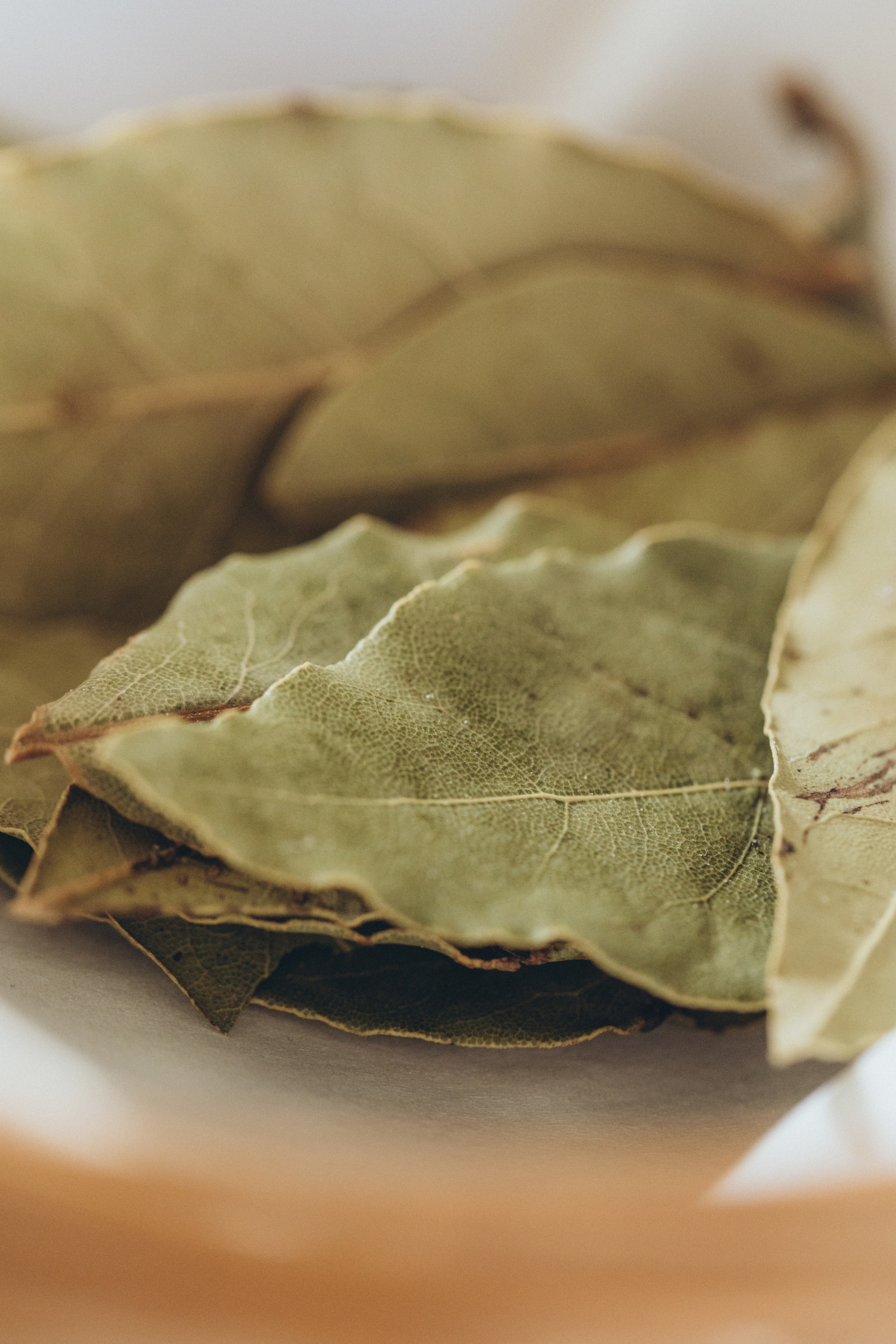 ANIMO Cucina Naturale. Фотограф в Туле Павел Парахин