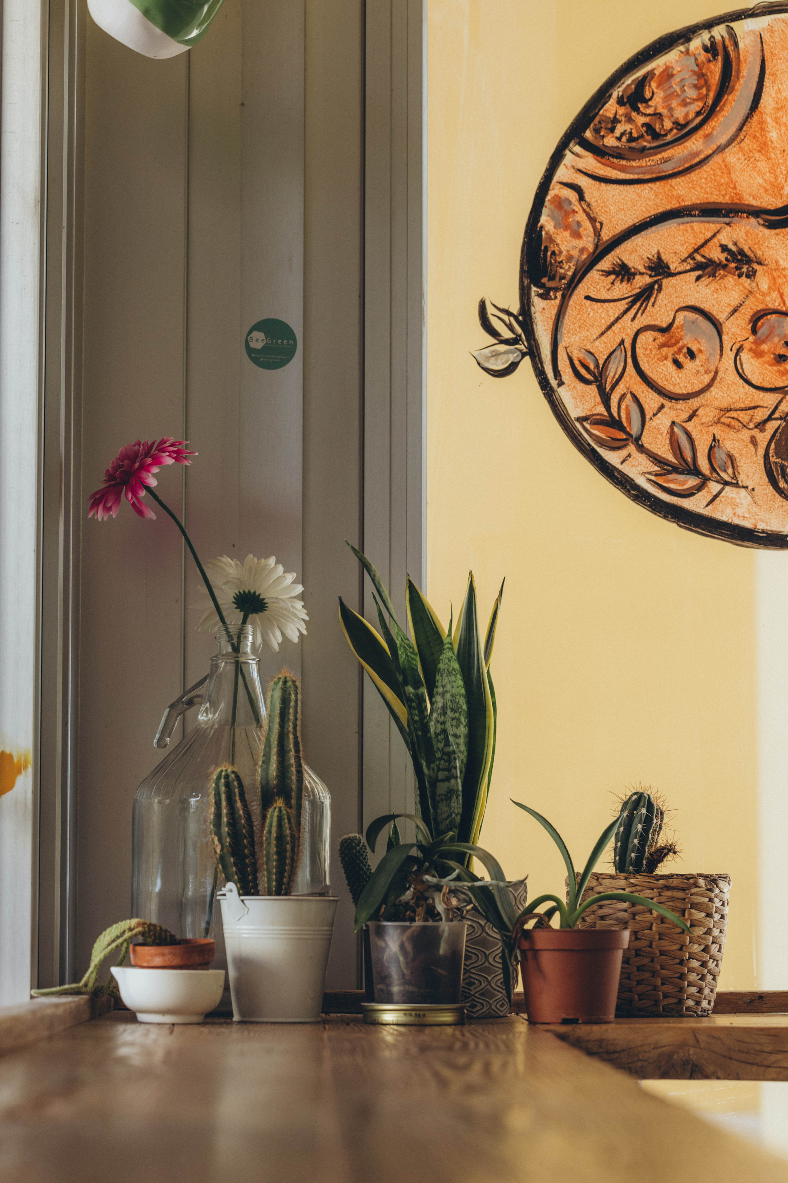 ANIMO Cucina Naturale. Фотограф в Туле Павел Парахин