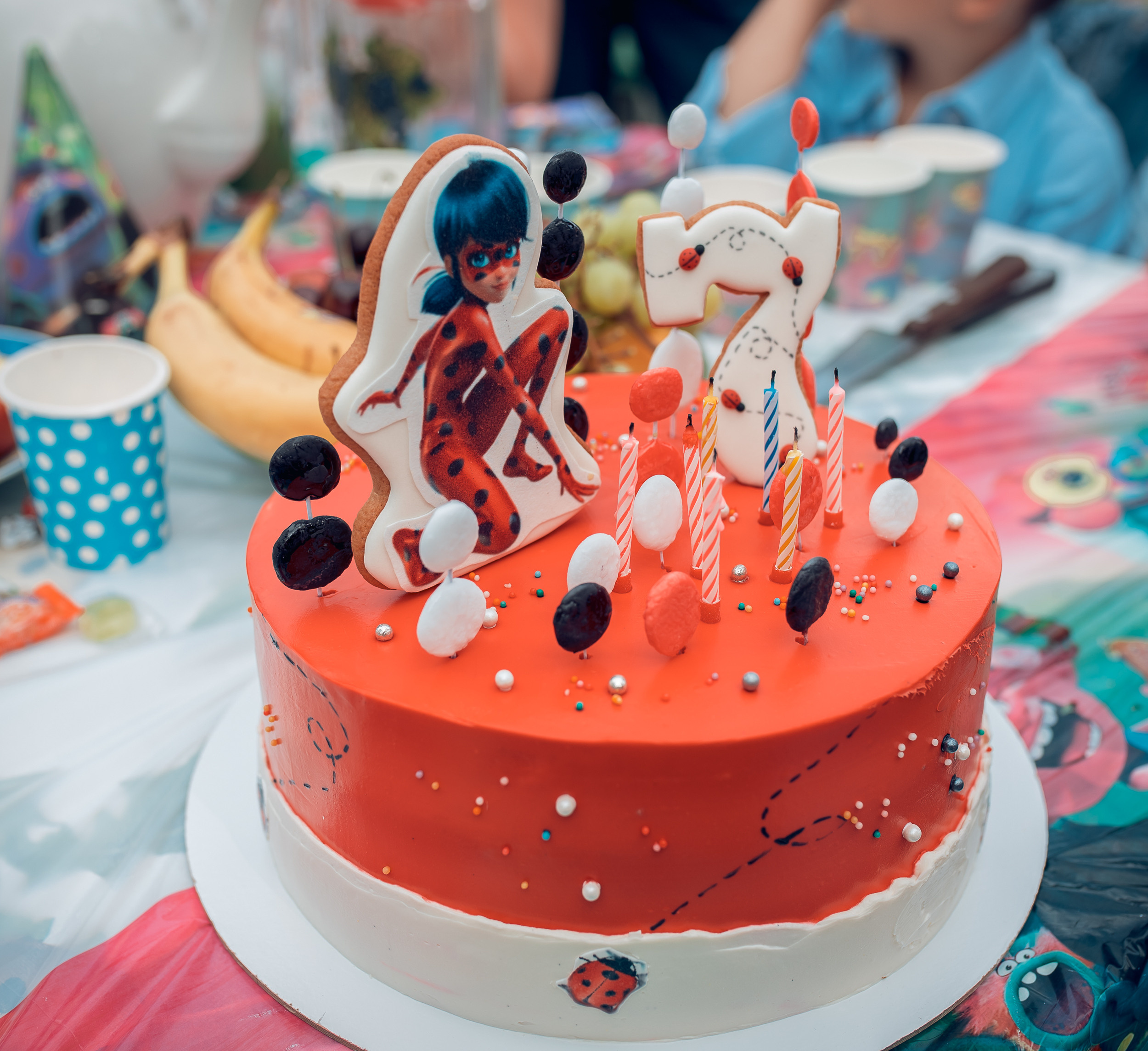 День Рождения в частном доме. Церковный фотограф Севастополь