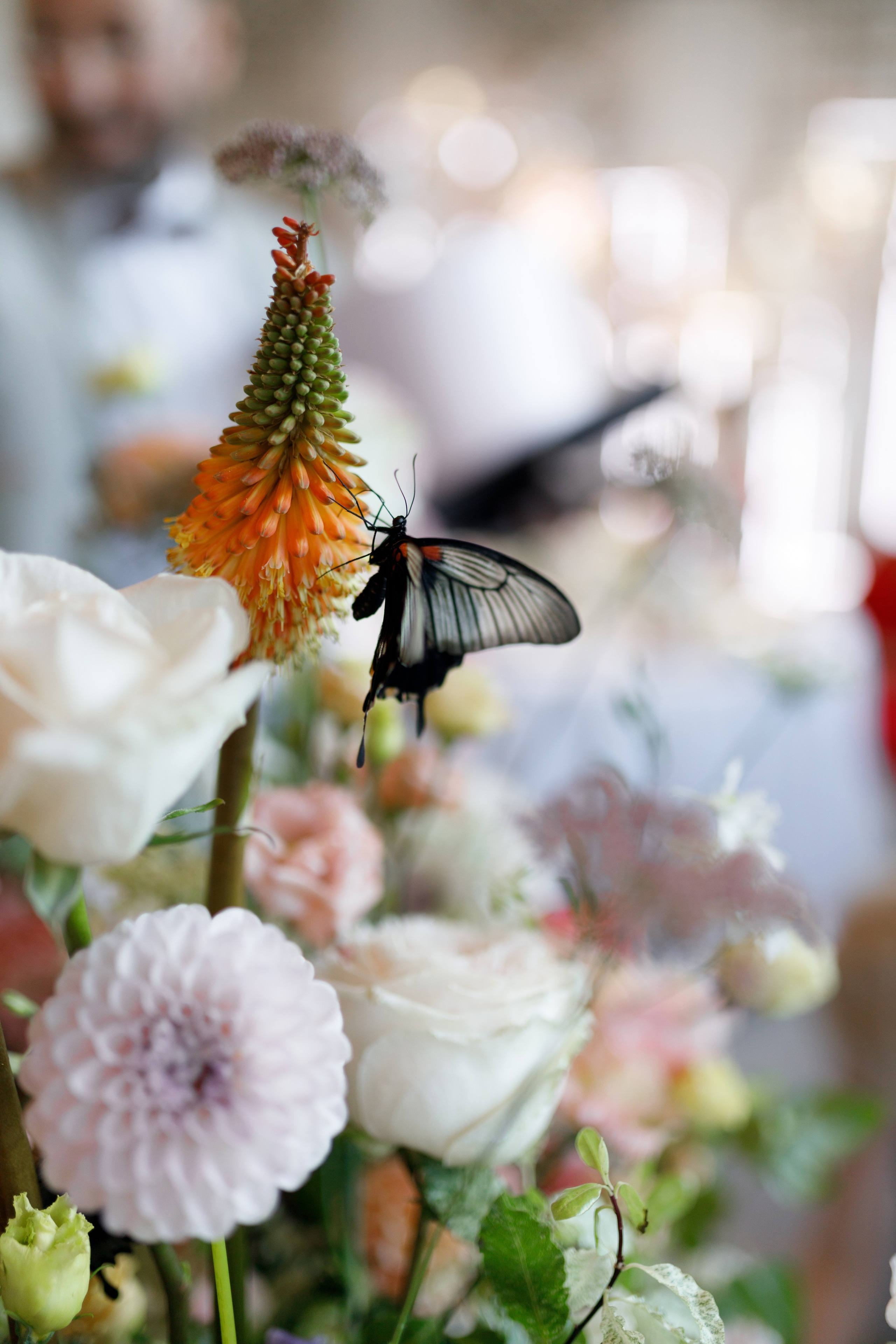 Портфолио репортаж. Репортжаный и свадебный фотограф Москва, Влада Азарова