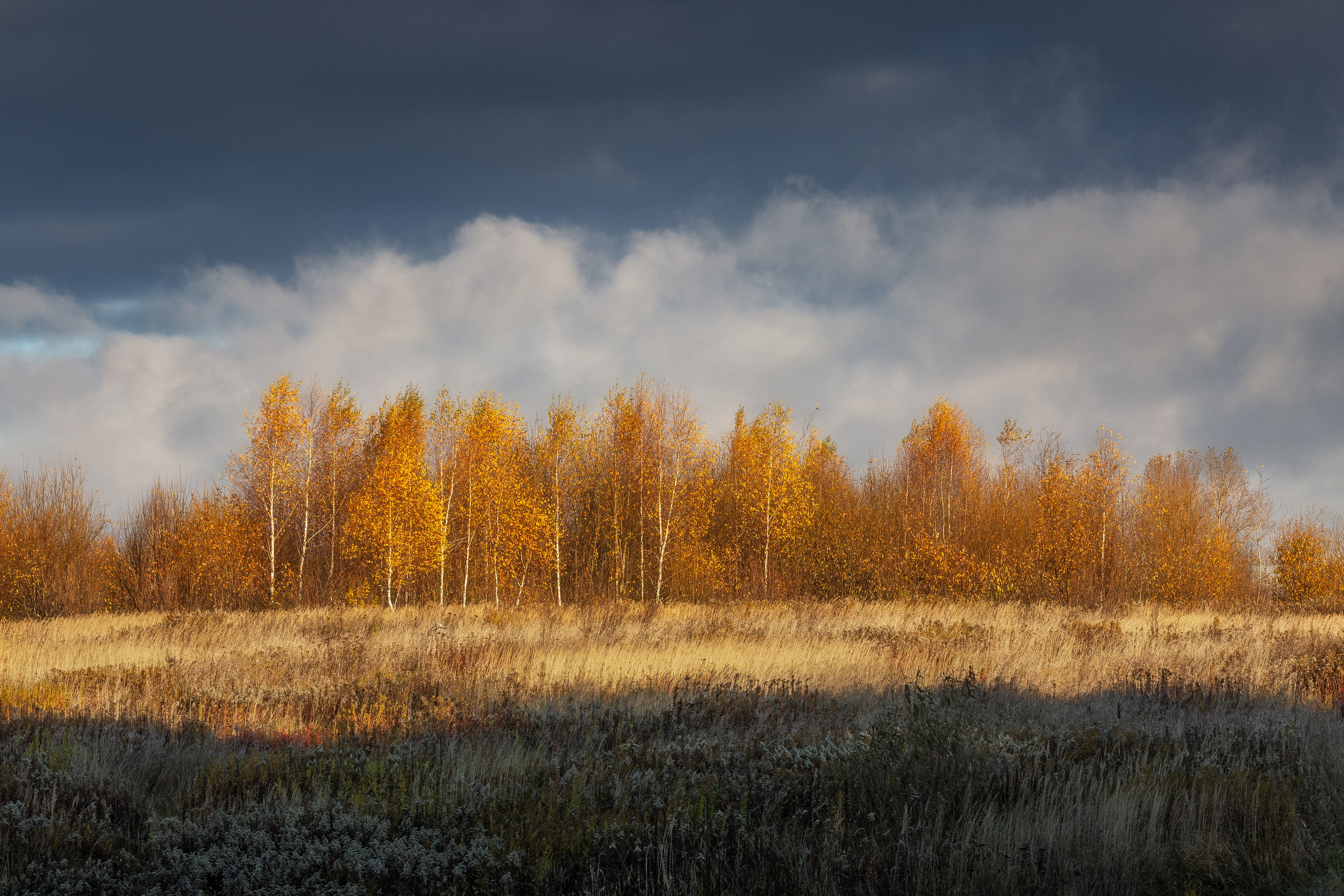 Природа (Осень). Фотограф Мартыненко Дмитрий