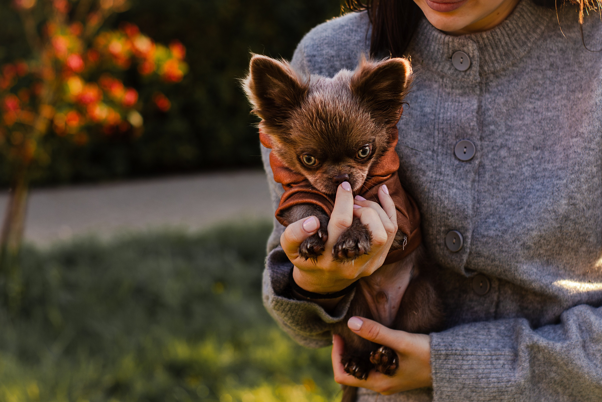 Варя и Фунтик. Фотограф-анималист Мария Баркевич | Москва